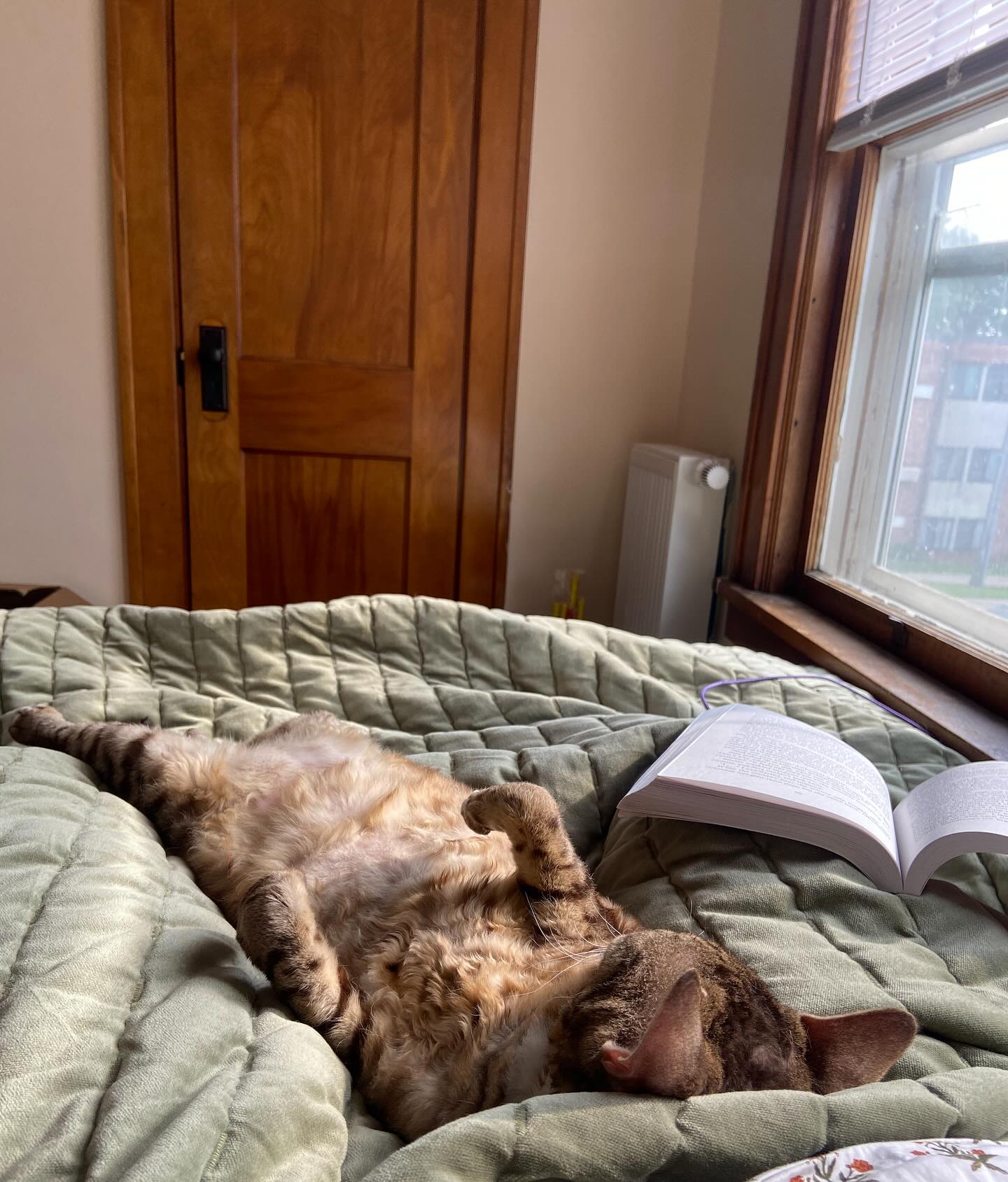 we’re really liking the new place