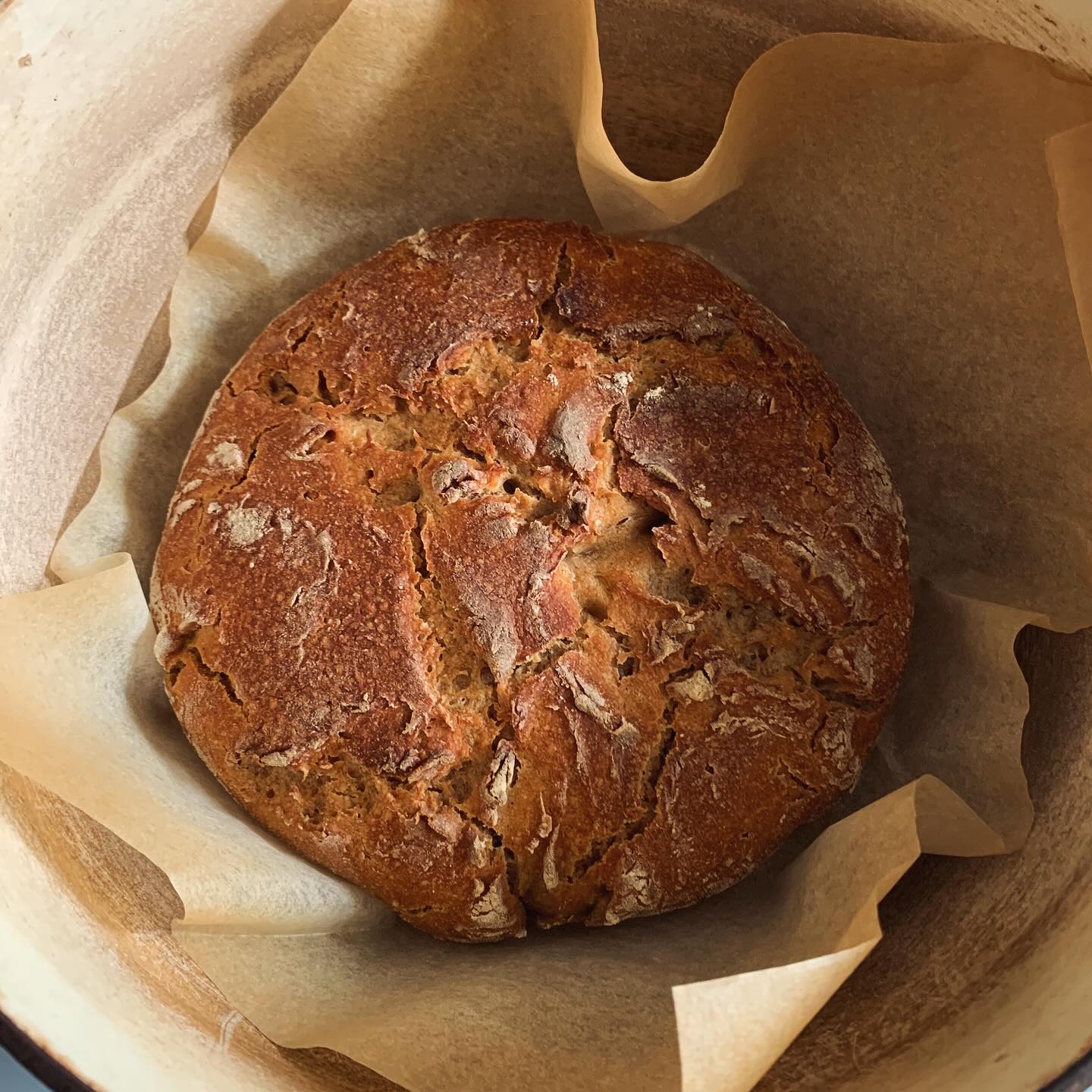 Mon@premier pain au levain maison 😍😍😍😍 J'en reviens pas moi-même... Trop bon 🥰🥰 Je vais recommencer 😅😅 .
.
.
.
+ de 170 recettes et astuces sur
www.delicieuxsanssucre.com
Ou lien cliquable dans ma bio @delicieuxsanssucre
.
🥳 Accéder gratuitement à ma masterclass pour créer VOTRE mode d'alimentation et vous libérer des régimes :
>> Commentez YES !
.
.
@followers
#Transformezvotrealimentation #alimentationIntuitive
#MangerMieux #MieuxManger #Alimentation #AlimentationSaine #Flexitarien #FaitMaison #DansMonAssiette #MangerSain #MangerSainement #cestropbon #EquilibreAlimentaire #ReequilibrageAlimentaire #DelicieuxSansSucre #IgBas #IndexGlycemiqueBas #RegimeIgBas #miam #miamMiam #VraimentSain #SansGluten #gourmand #Bio
#Levain #painaulevain