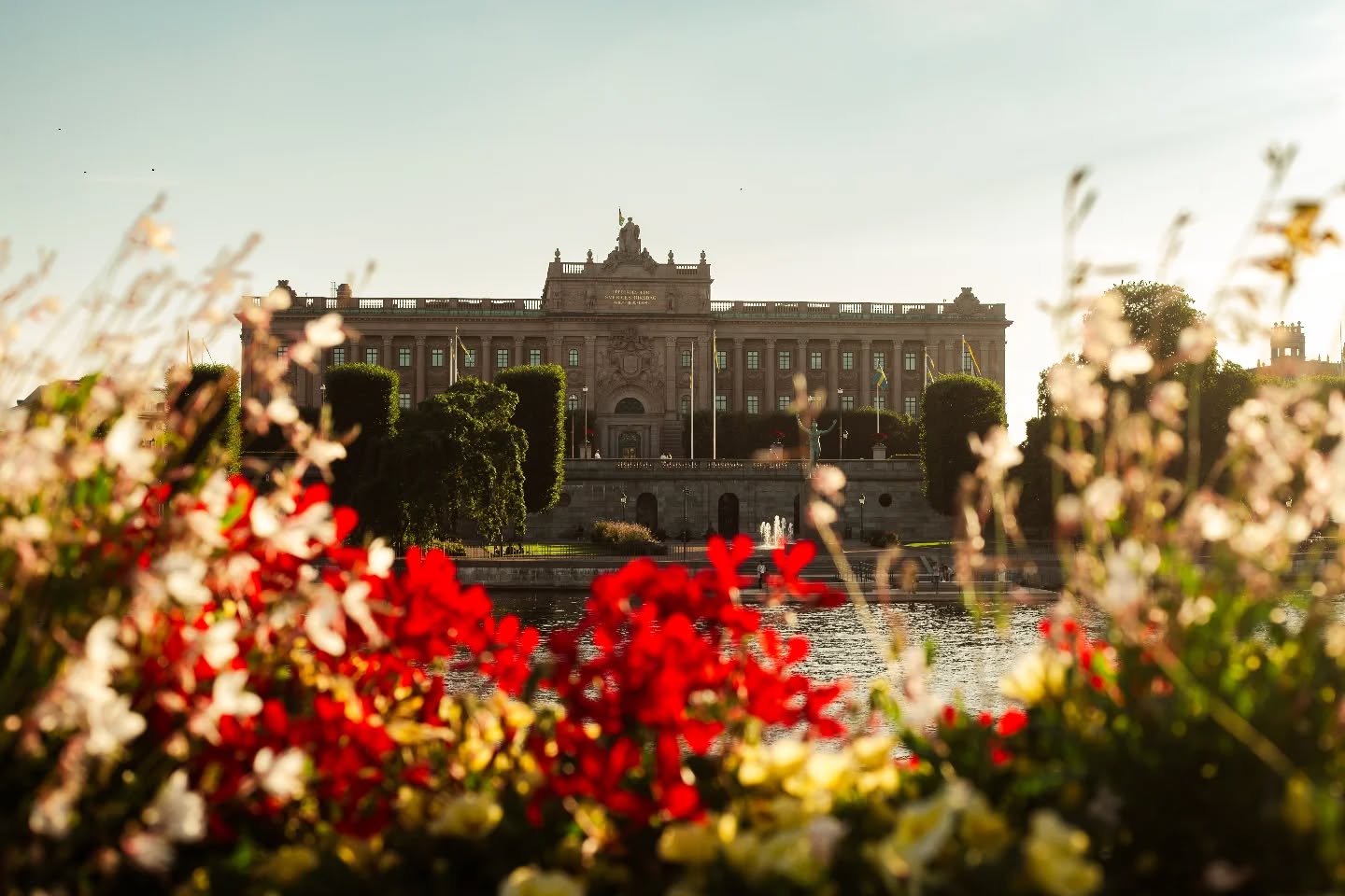 The sun hit just right for this one.
Shot on a sunny day in Stockholm 🌞