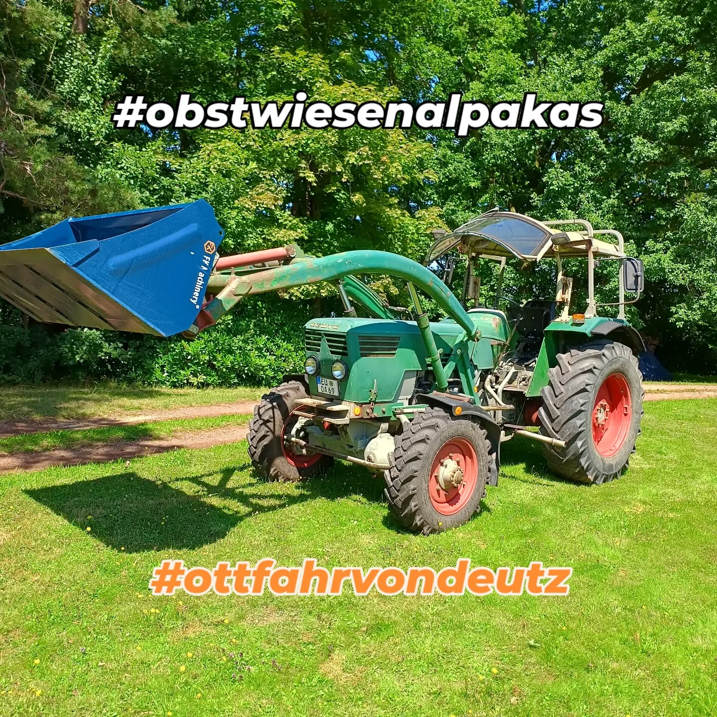 Die @obstwiesen.alpakas präsentieren stolz das neuste Teammitglied 🦙😀.
"Ottfahr von Deutz" unterstützt uns zukünftig bei allen schweren Arbeiten! 🚜
Herzlich willkommen und bleib immer fit!
#ottfahrvondeutz #obstwiesenalpakas #arbeitstier #deutz #deutz7006 #badmünstereifel #bonn #euskirchen #köln #cologne #ahrtal #alpakas #schlepper #traktor #1971 #willkommen