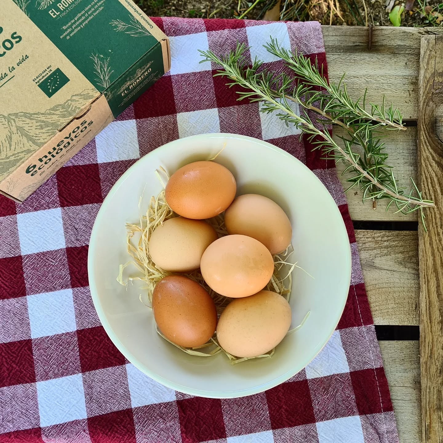 Damos a nuestras gallinas la mejor vida posible y ellas nos lo agradecen así. Cuando cuidamos la naturaleza, ella nos lo devuelve con creces. Huevos frescos recién cogidos de la finca. 🌿🐔
Porque lo más simple puede ser lo más sabroso. Sin químicos, sin prisas, solo naturaleza y el sabor auténtico.
Cuídate comiendo bien.🥚
#huevosecológicos #huevosecologicosmurcia #bullas #productosdecercania