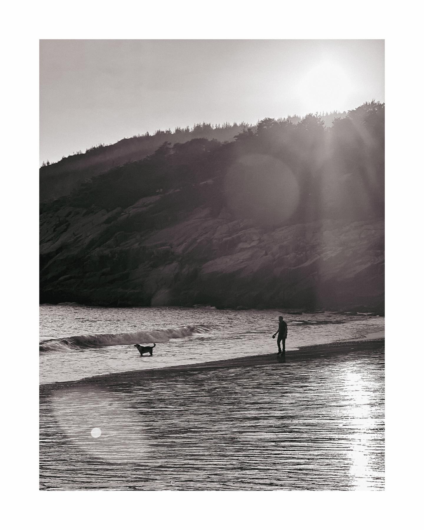 Purdah!
.
.
.
.
.
#solitude #dogs #silhouette #blackandwhite #sunglare #nationalparksusa #acadianationalpark #nationalparkservices #parkrangers #sandbeach #sand #beach #water #trees #maine #northengland #photo #roadtrip #waves #purdah #coastline #usa #travel #travelphotography #urdu #photogram #streetphotography_bw #monocromatic #therapeutic #winds
