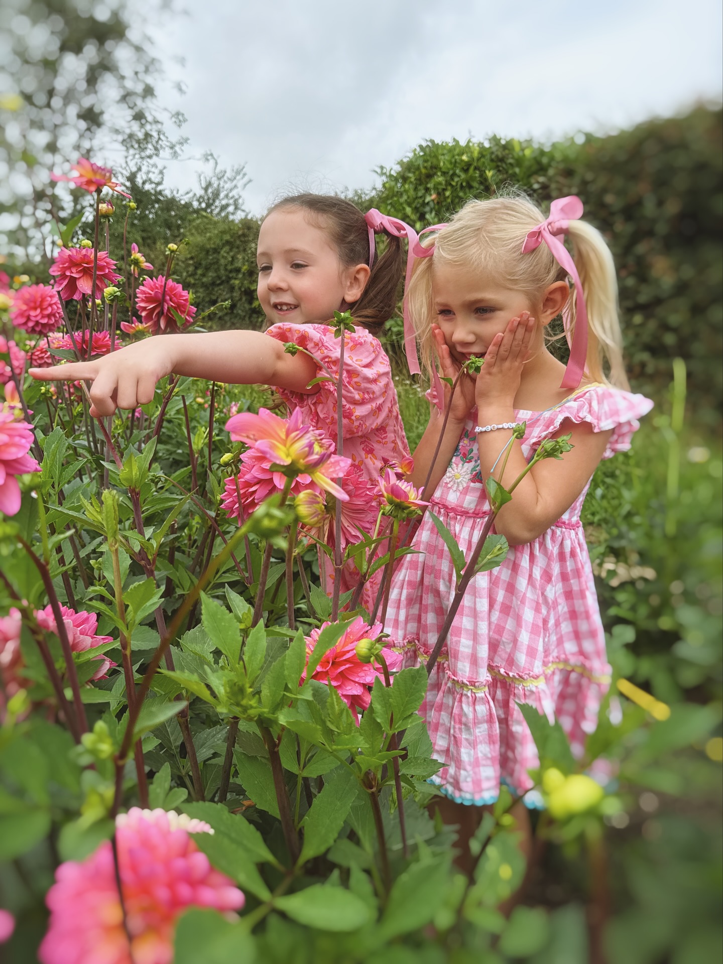 Flaxland flower girls
Wild & free in the dahlia field
Reimagines of my Great Grandmother playing away the summer days
Thank you for the magic
Cecily @xxbiancamxx @lowbarnfarm
Norah @thanyeb @tobykheng
#flowergirl #dahlia #summer #cottagegarden #summerflowers #summerholidays #florist #norfolk #southnorfolk #seasonalflowers #blooms #love #norfolkflowers #flowergram #sustainablefloristry #homegrown #flowersofinstagram #pink #flaxlandflowergirls