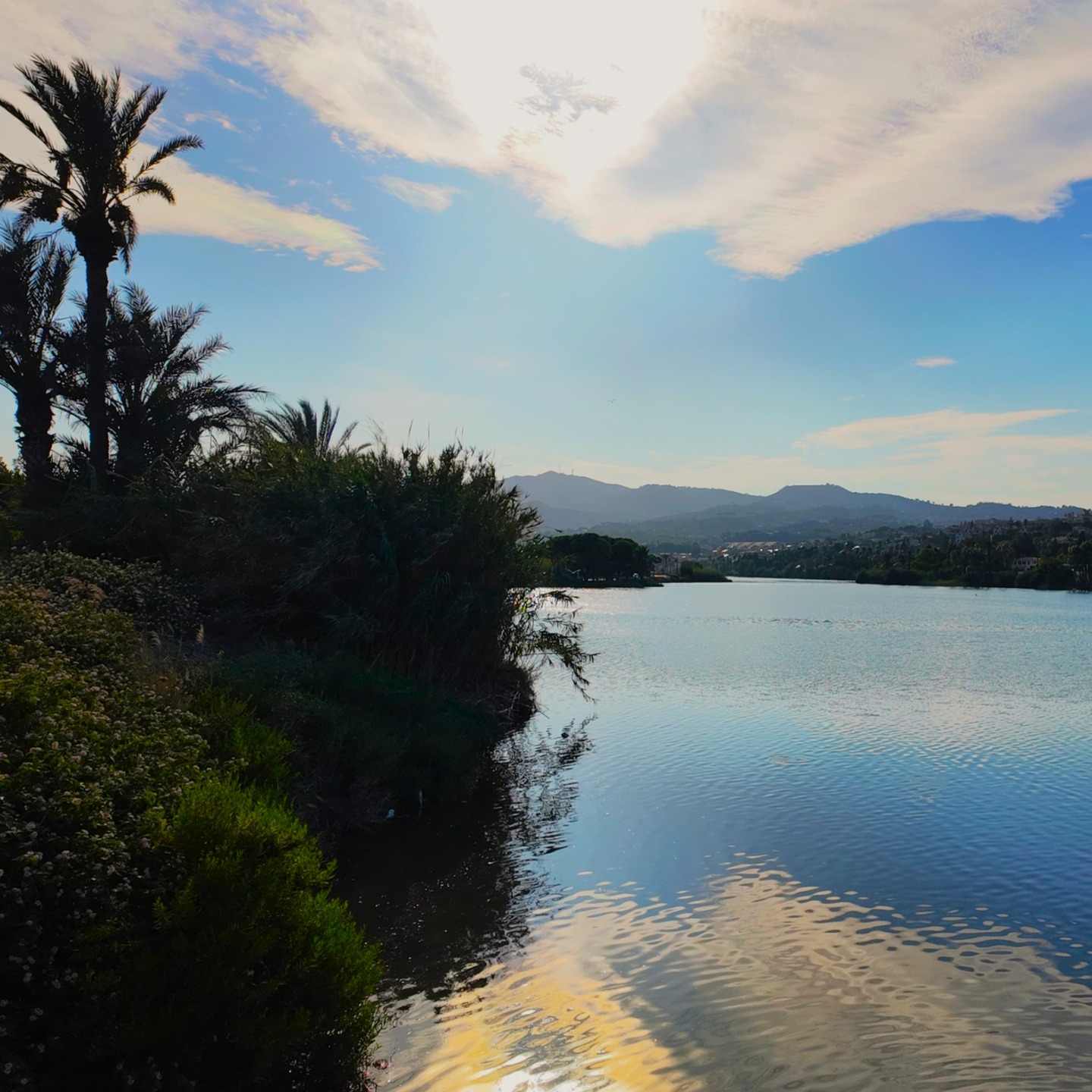 Morning light over Ganzirri Lake: a place that invites you to slow down and enjoy the beauty
.
📍 Capo Peloro, Messina
.
.
.
📸 © VisitCapoPeloro | Exclusive use – ask before sharing
.
.
.
#CapoPeloro #VisitCapoPeloro #Ganzirri #GanzirriLake #Messina #VisitMessina #Sicily #VisitSicily #MediterraneanLife #SicilianLandscape #NaturalBeauty #ScenicView