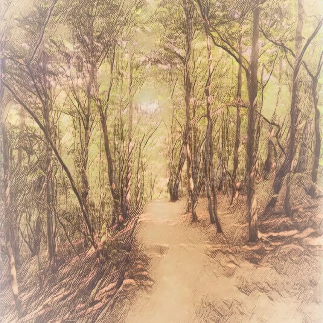 "The dark clouds that had filled my mind disappeared for a moment and a sun shone on me. 'It will be alright.'"
From Chapter 47: Beginning of the End