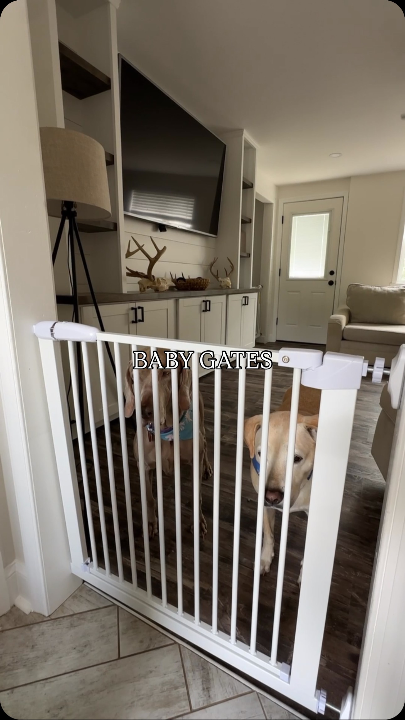 these @fairybaby.official gates were the best replacements for our old gates! 🐶 they keep the dogs in (or out) of any room and perfect for babies/toddlers too! easy to open and we are loving them!
check them out on their website https://fairybaby.com/ALAINAHAMADE
#babygate #babysafety #babyproofing