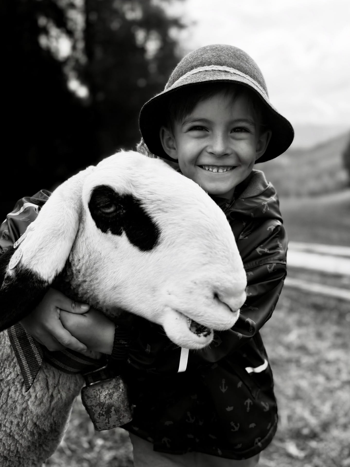H I O T A B U I
•
Michl is making sure that every sheep gets some hugs..
•
•
#rifugiorudihütte #sexten #sesto #dolomites #3zinnendolomiten #mountainlife #animallove