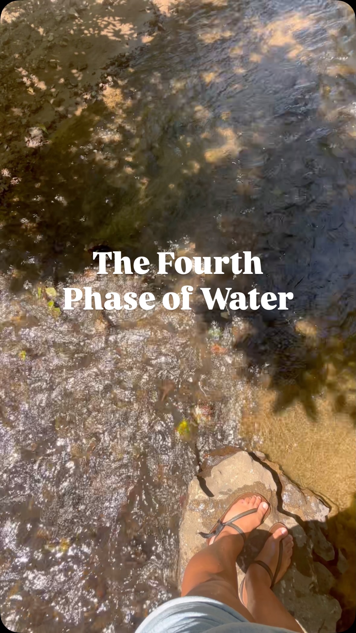 When water flows along rocks and natural surfaces (like in a creek), it structures itself into organized, hexagonal layers. It’s not just H₂O…it’s considered a fourth phase, often called exclusion zone (EZ) water.
Fascia works in a similar way. It’s hydrophilic, made of collagen and elastin fibers. This is the kind of surface Dr. Gerald Pollack found supports structured water.
Dr. Robert Schleip, (a leading fascia researcher) has shown that fascia conducts fluid and force in organized, coherent patterns, showing the same kind of structure and flow.
Structured water is so fascinating! As you explore it you’ll quickly see how it can realign you with the greatness of the Earth and the intelligence woven through all of it, including us.
If you’re interested in learning more about the intelligence of water, check out Dr. Gerald H. Pollack, read his book The Fourth Phase of Water: Beyond Solid, Liquid, and Vapor, and the Instagram account, @vedaaustin_water .
#StructuredWater #EZWater #Fascia #CST #CFT #BCST #ConnectiveTissue #BiofluidDynamics #Nature #Creation #Grounding #Earthing #Earthrunners