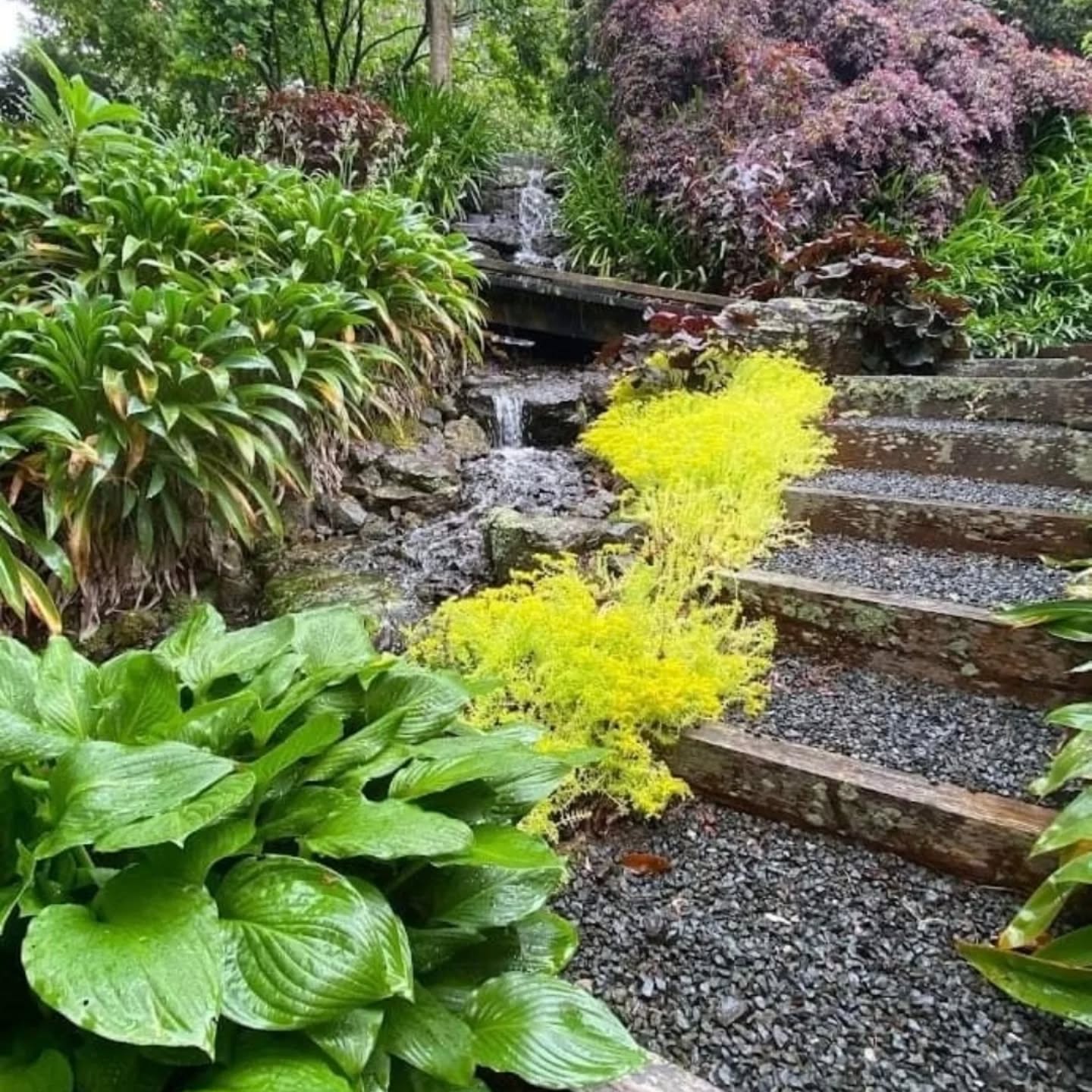 Tickets are on sale now fir the 2025 Rotorua Festival of Gardens
Tickets can be purchased from our website Link in bio
#rotoruaevents
#nzhouseandgarden #nzgardener #kiwigardener #nzgardens #nzgardenfestival #nzgardening #rotorua #rotoruagardenfestival #rotoruathingstodo #rotoruafestivalofgardens #nzgardenfestival