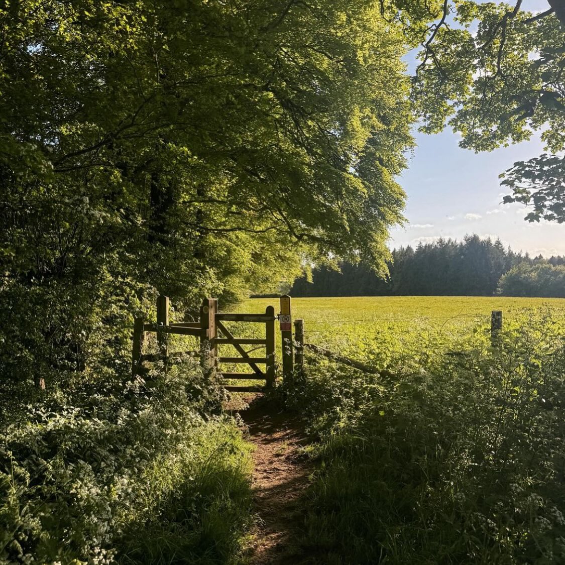 Go Touch Some Grass (For Everyone’s Sake)
There’s a certain joy in working from home next to a teenager who has a LOT of unsolicited opinions and unsolicited pearls of wisdom. Delivered at random intervals, no scheduling required.
Today was one of those days at work.
Everything that could go wrong - did.
People not doing what they were supposed to. Me spinning faster than the office printer when it eats paper.
And yes - this was all before my third coffee.
Midway through one very intense conversation, my teenager wandered into my home office, totally unfazed, and said:
“Mom, for the love of God and for all of our sake, please go outside, touch some grass, hug a tree. It will help.”
Mic drop.
Exit stage left.
And apparently, “Go touch some grass” is gamer-speak for “log off and go outside.”
Who knew? (Not me. The only gaming I ever did was Solitaire on my desktop. And if I was feeling really wild - old-school Mario.)
But I did it.
I left the laptop, walked for 20 minutes without my phone, and hugged… okay fine, stood near a tree. And somehow, the spinning stopped.
So here’s my unsolicited pearl for you this Monday morning:
If you feel like you need to touch the grass, hug the tree, or just step outside and breathe like a human - DO IT!
Can’t promise the bush next to your house will heal you.
But it might just save your sanity.
#ModernWoman
#TruthTelling
#ImFineThanks
#DryHumourClub
#RealTalkForWomen
#MessyAndMagnetic
#riseleadrepeat