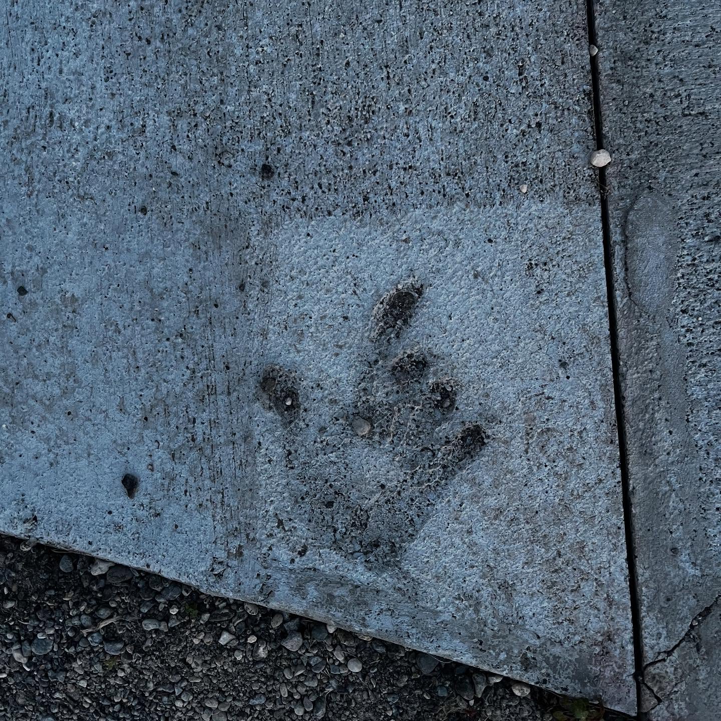 July Gratitude
- This was a tender month for me as I’ve gotten to reflect on how grateful I am for George Campbell Walker. George was the embodiment of enduring to the end. He was a tough hard hard-working man who taught us that if a job’s worth doing, it’s worth doing right. Everyone has a George Walker story, and I’m grateful for all the ones I’ve gotten to hear throughout the years, especially when my Dad shared their adventures. In his 99 years, he did as much good as he could as fast as he could. I’m forever grateful for the legacy of faith my grandparents have left. I’m grateful for all the Sunday visits to Grandpa’s house and the sweet treats he gave us. I’m grateful Grandpa got to meet Preston and I’m grateful Preston could come to the funeral and get to know his story more. I’m grateful for his one last visit I got to have with grandpa and for his tight grip. Let us all press on.
- I’m grateful for the people who raised me. I don’t mean my parents, although I’m forever grateful for them, but the people who were there as I grew up. My parents’ friends, older cousin, aunts and uncles, my hometown, the people who hold a sweet place for me in their hearts even if I haven’t been around. Those who ask my mom how I’m doing or keep up with my life through Facebook. For the people who see me now and get a tender look in their eye and tell me they remember me when “you were this big”. I owe these people more than I’ll ever know; for the love they put into that little girl and how they’ve shaped me into who I am today.
- I’m grateful for grandpas pond, the countless summer days spent there, and memories to last a lifetime
- I’m grateful for Priest Lake Idaho. This is a sacred place for me where I get to be surrounded by God’s creations and family