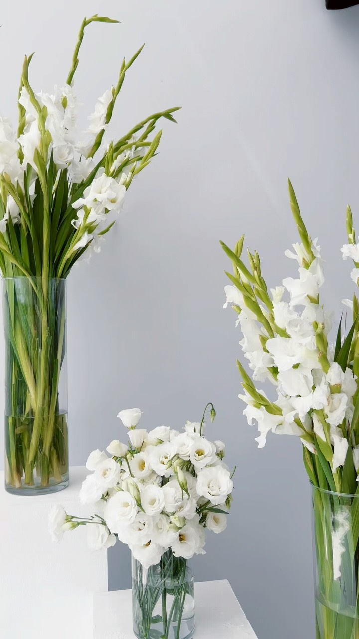 Warning: watching this might make you want to plan a wedding (again) 🤍
M&N
.
.
.
.
.
.
.
.
.
.
.
.
.
#medimleko #weddingdecor #dekoracijavencanja #weddingstationery #placecards #weddingdecoration