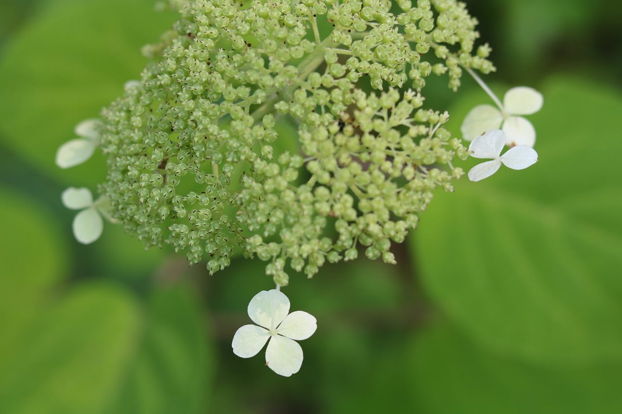 When the weeks feel like months, and the months feel like years. July was a month that really could have been a year. Time with friends old and new shadowed by devastating loss and crippling anxiety. I’m not sure I have a second to breathe, I’m not sure I wanted one. Grateful for the moments we had but now I just want to sleep. See yall next month.