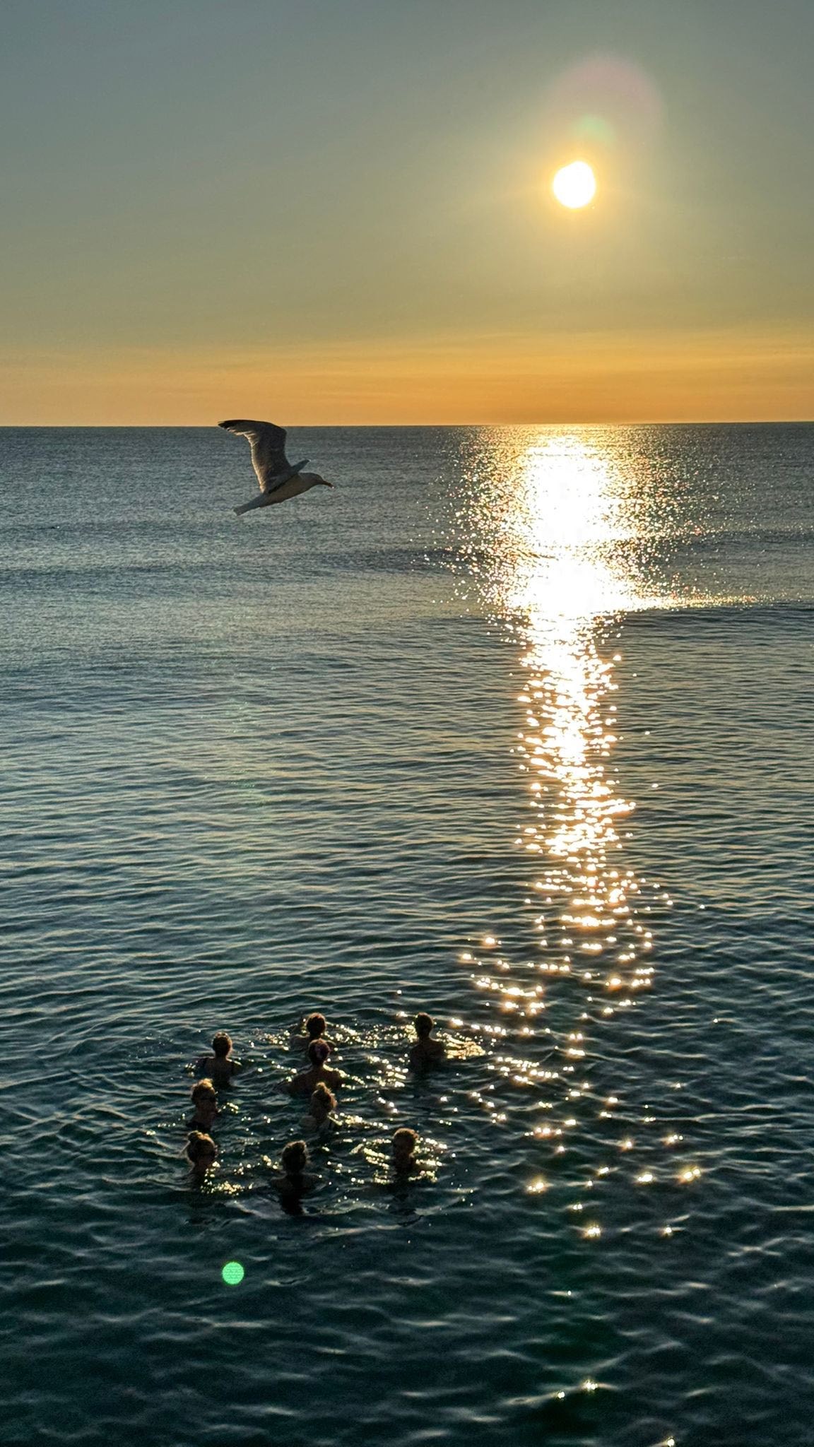 One month back on Jersey!
July flew by settling back in to the home we left less than a year ago.
We have barely left 'the parish' where we live (and the island is 9 by 5 miles, so that's saying something!) but we've had the best time catching up with friends, attempting some DIY, having family and friends to stay, many bike/scooter/pram rides, lots of beach time, birthday celebrations, and of course so much Pilates back in my gorgeous studio which I haven't got round to filming yet mainly because my workout slot is 6-7am at the mo and no one needs to see the mess I'm in š
It's great to be back! #jerseyci