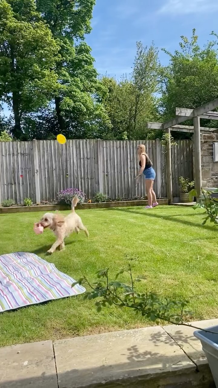 Looking for a last minute family holiday? Wanting to make the most of the sunshine before it’s gone?☀️
Sleeping a family of 13, Clarion Lodge Cottage has the perfect garden for that family bbq you’ve been craving!🍔🌭
From having a bbq, to playing games, to roasting marshmallows, to simply sitting in the sunshine on comfy seats, Clarion is fun for all the family!
#bbq #familybbq #familytime #holidaycottage #holidaycottagesuk #ilkley #menston #summer #summergarden #familyholiday #holiday #wharfedale