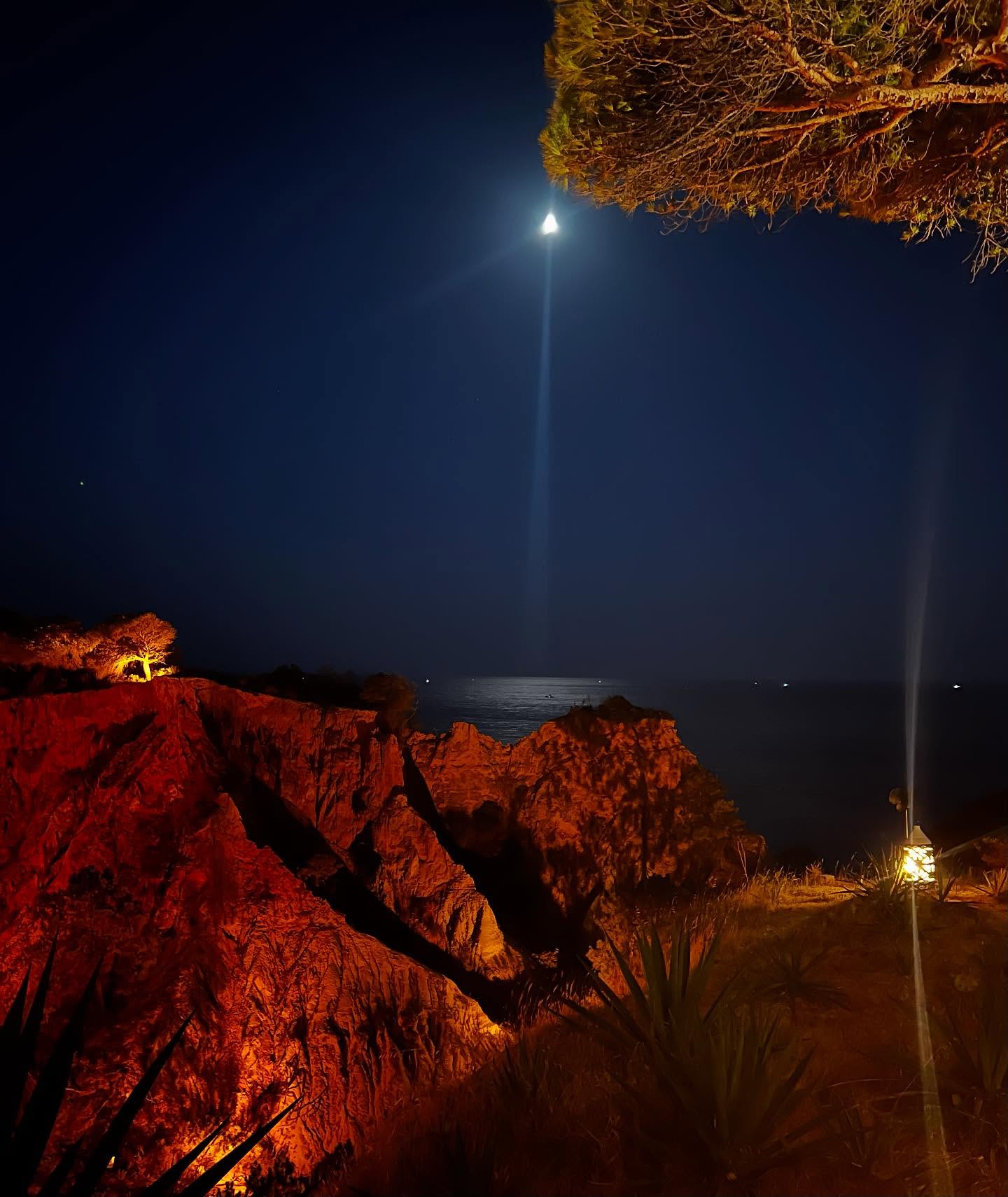 Grandmother moon, you illuminate what hides inside me and bathe me in your ancient light. I am grateful for the peace and grounding you bring with your eternal rhythm.
#moon #divinefeminineenergy #grandmothermoon #ilumination #healing #algarve #portugal #peace