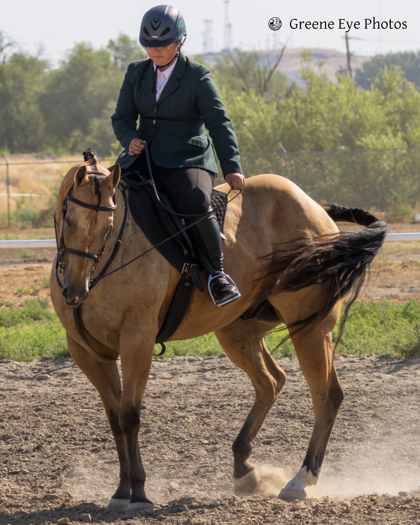 Had a great time with everyone at the Horse show this week. Macie did an impressive job!