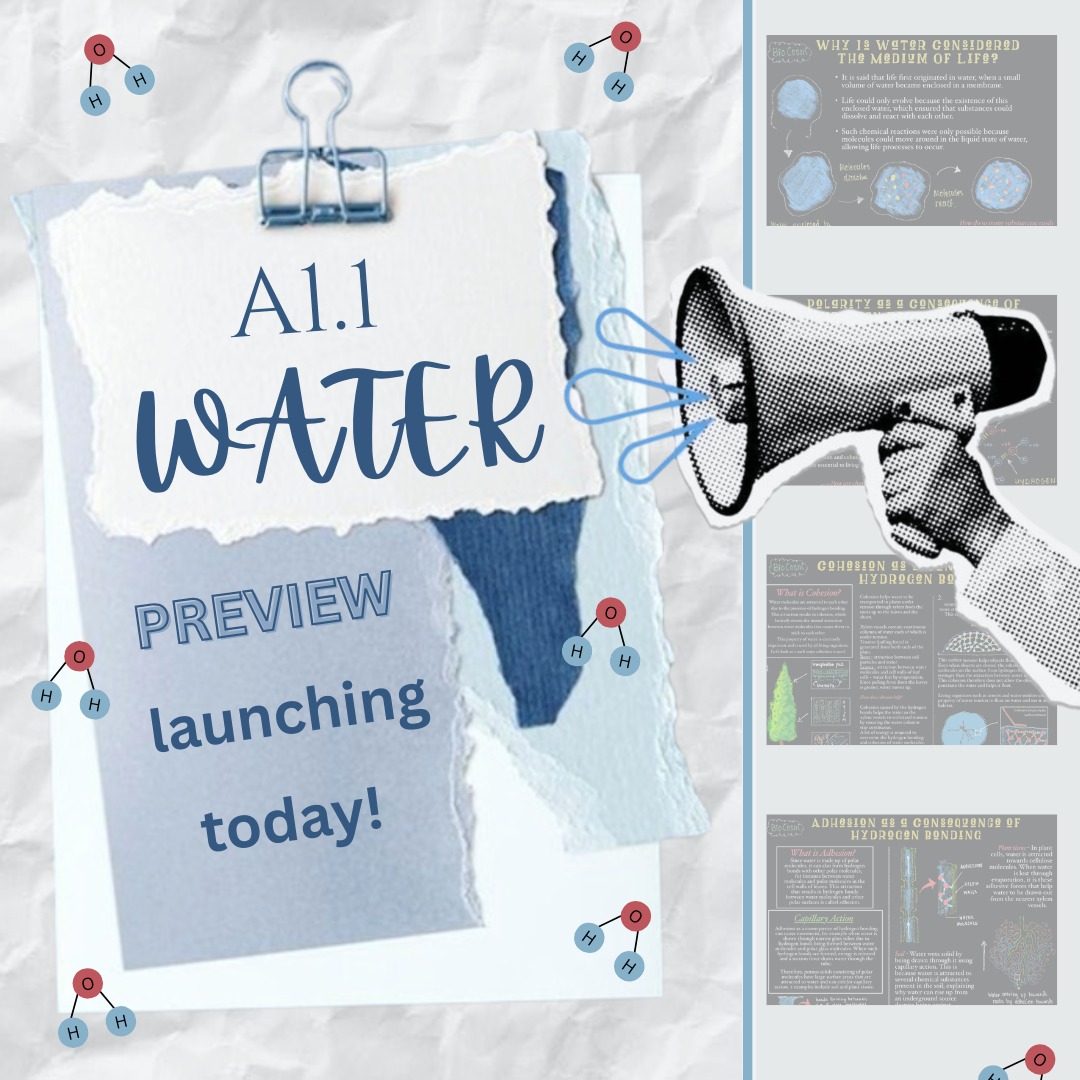 A1.1 WATER 💧 | FREE Preview drops today!
Clear, visual, exam-focused — notes that actually help you understand.
Save it, share it, and start strong.
#studygram #IBbiology #noterelease #aestheticnotes #waterunit #studentmade