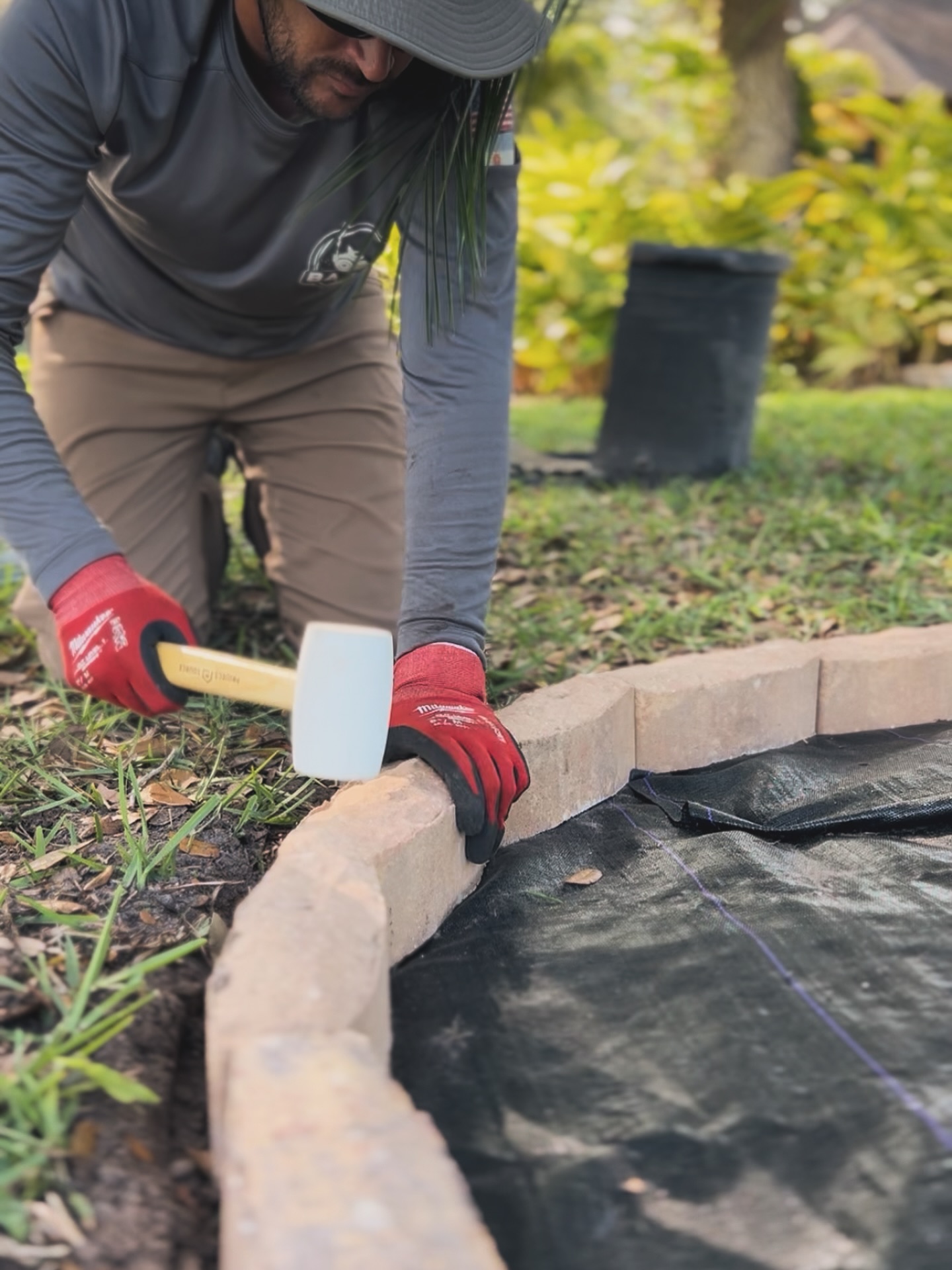 🧑🏻🌾🧱
#lawncare#lawnservice#lawncarelife#lawnmaintenance#orlandofl#orlandoflorida