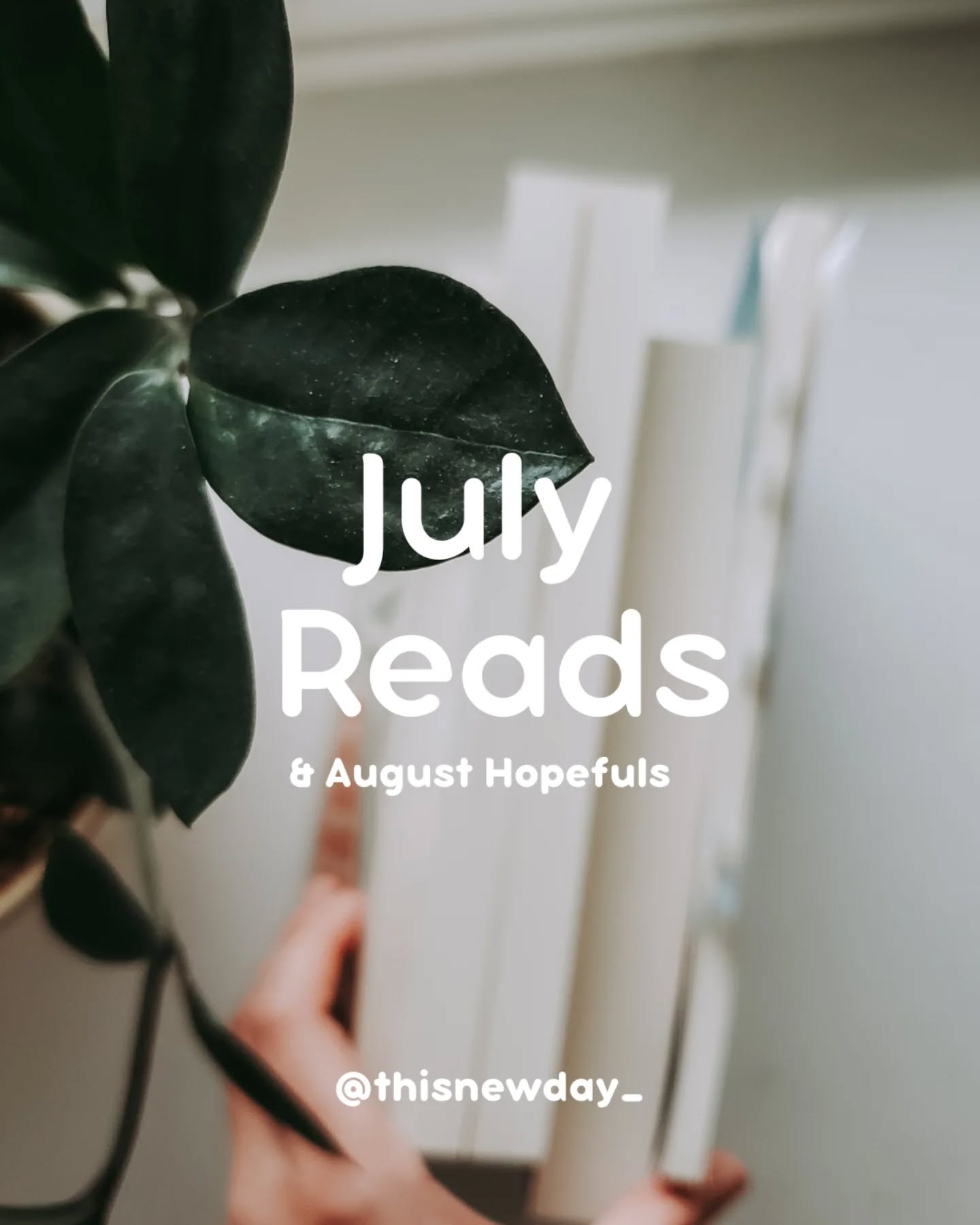👏🏽 July Reads & August Hopefuls 👏🏽
** Full book reviews for each of the books I read so far this year can be found in my 2025 highlight.
⭐ Five Stars:
• A Lady's Guide to Marvels and Misadventures by Angela Bell
• Death in the Jungle by Candace Fleming - Five Stars for the writing style
• Anne of the Island by L.M. Montgomery
⭐ Four Stars:
• Miss Austen by
• The Bitter End Birding Society by Amanda Cox
• Anne of Avonlea and Anne of Windy Poplars by L.M. Montgomery
⭐ Three Stars:
• Of Gold and Shadows by Michelle Griep
• The Roads We Follow and The Voices We Find by Nicole Deese
➡️ What was your favorite read in July?
.
#julyreads #christianfiction #booksforwomen #bookstagram #fivestarreads