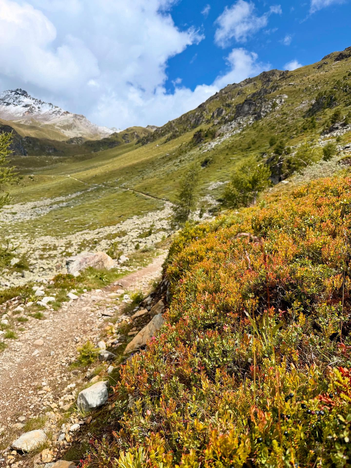 A tinge of autumn is in the air with only 6 days to go until 6000 runners pass through the gates at Barneuza! But summer is most definitely making a comeback next week ☀️☀️☀️
Pro tip: look out for these hairy spectators (pic 3) on your way down
@sierrezinal_officiel #trailrunnersparadise #sierrezinal #valdanniviers #trailrunning #trailrunningswitzerland🇨🇭