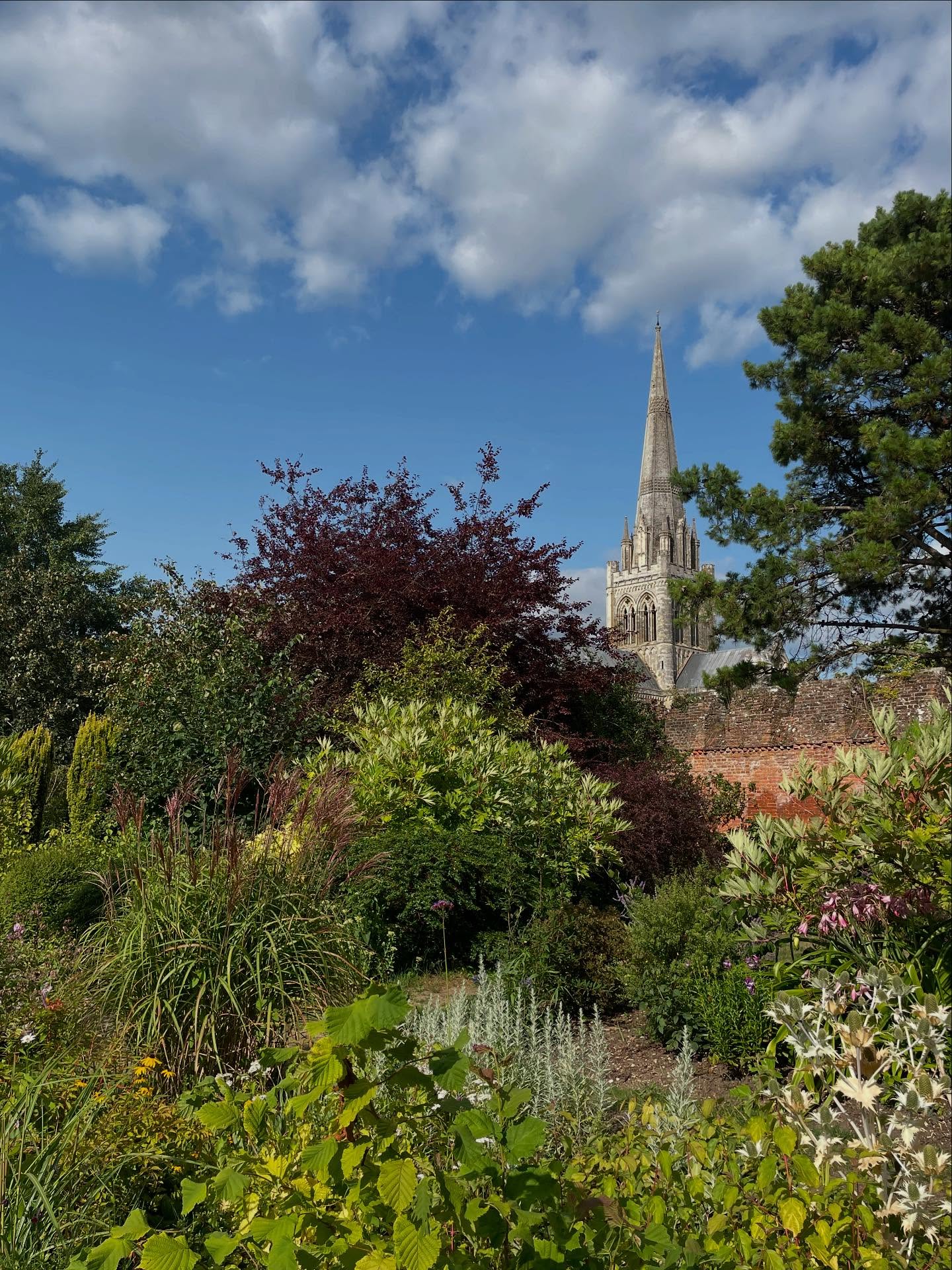 ✨Peace lingers where the light rests ✨
A beautiful gentle breeze in the sun-kissed Bishops Palace Gardens this afternoon.