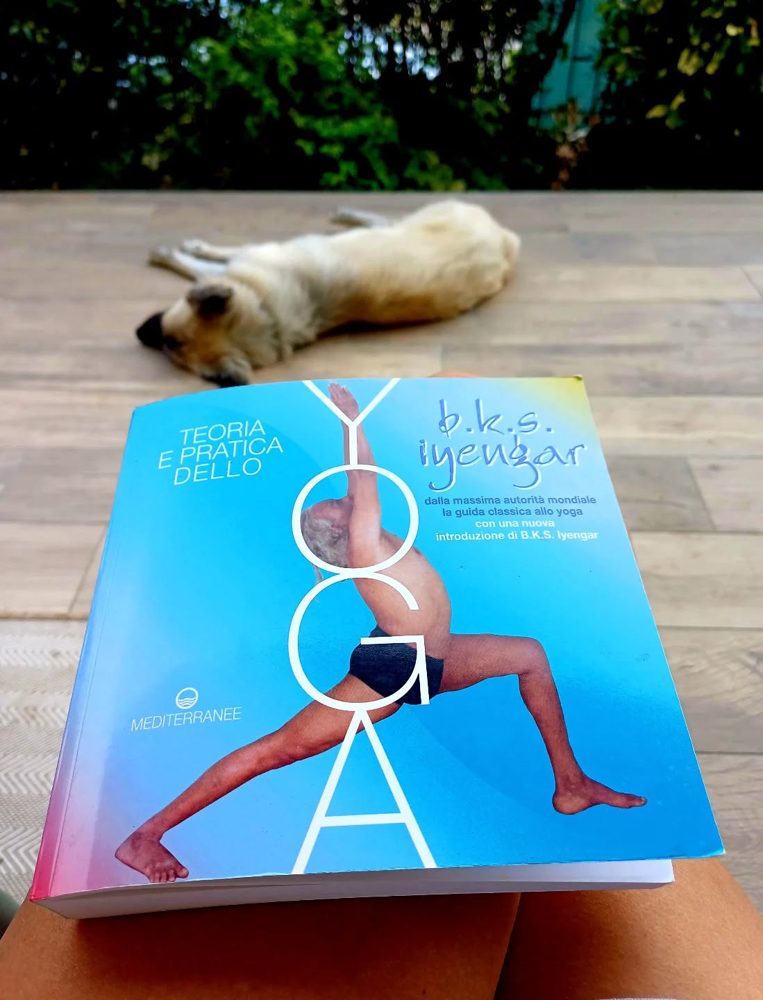 Negli ultimi anni ho approfondito il ruolo delle emozioni e della consapevolezza corporea nel benessere psicologico, integrando nella mia pratica la mindfulness, lo yoga e la meditazione.
Il corpo e la mente sono inscindibili, e attraverso il respiro e la presenza consapevole possiamo imparare a stare con ciò che c’è.