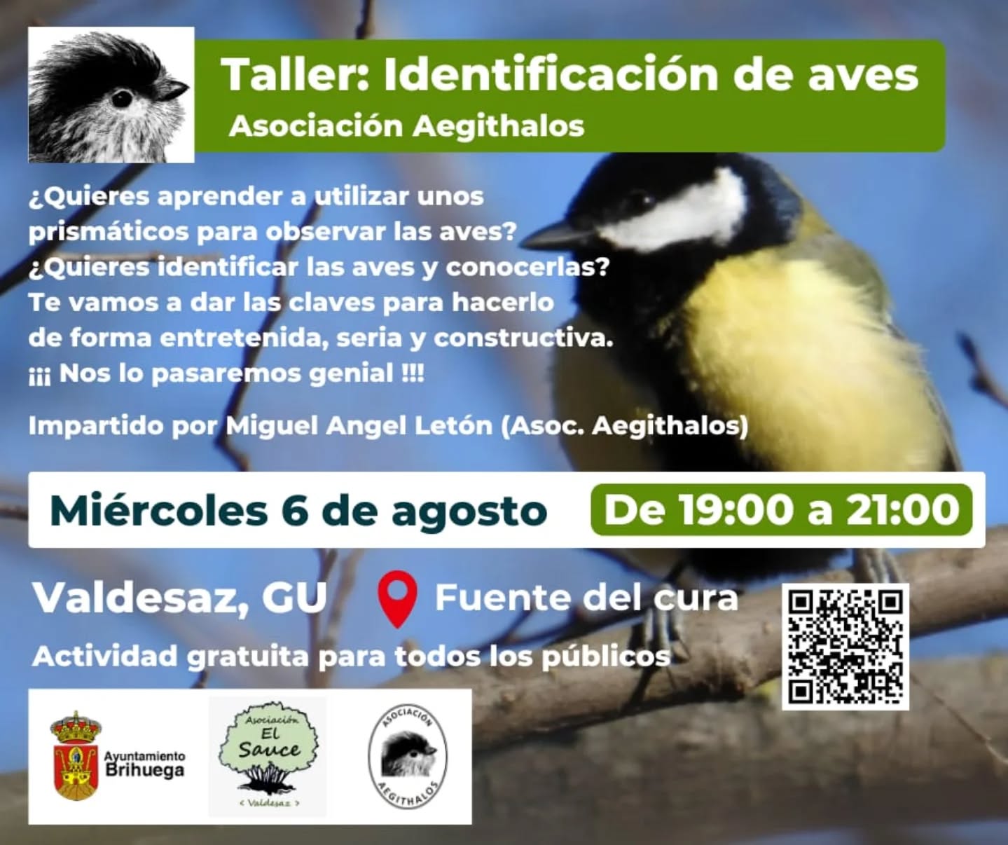 📢 ¡Nueva actividad! En este caso llevaremos a cabo un taller de identificación de aves.
📍Valdesaz (Guadalajara)
🗓️ 6 de agosto
ℹ️ Más información en cartel
#avesdeguadalajara #observacióndeaves #asociaciónaegithalos #conservacióndelanaturaleza #guadalajaraespaña