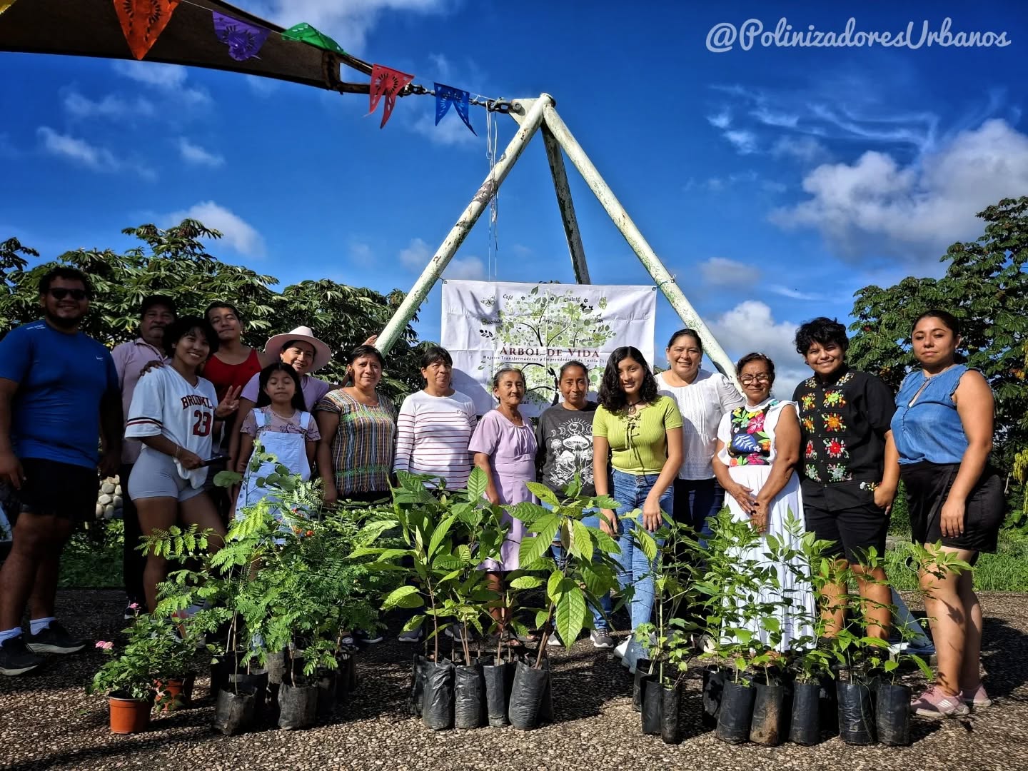 Hoy estuvimos en el Parque del Chocolate en Tuxtla Chico donde reforestamos areas del parque con arboles nativos de las siguientes especies 🌱🌳
-Theobroma cacao (cacao criollo)
-Caesalpinia Pulcherrima (Falso framboyan)
-Tecoma stans (Tronadora)
-Flor de Mayo (Plumeria rubra)
Igual creamos dos areas para polinizadores en jardineras con arbustos nativos
-Malvaviscus sp (Tulipancillo)
-Senna alata
-Turnera ulmifolia
-Lantana camara
Agradecemos la colaboración del grupo de artesanas Mujeres Transformadoras y Emprendedoras de Tuxtla Chico Árbol de Vida , Así era Chiapas-Maya y Food, nature and adventure 🦋🐝🦇
#reforestacion #polinizadores #biodiversidad #TuxtlaChico
