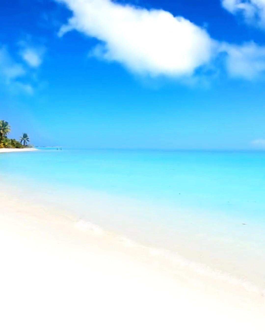 There are no roads to this shoreline.
No signs. No crowds.
Just the breeze, the tide… and your yacht anchored offshore.
This is the Bahamas the brochures don’t show—
raw, untouched, and entirely yours for the day.
Island Yachts takes you beyond the map.
Because the best places aren’t found. They’re chartered.
#IslandYachtsBahamas #CharterBeyondOrdinary #PrivateBeachBliss #OffTheMapOnPurpose #YachtDaysOnly #BahamasUntamed