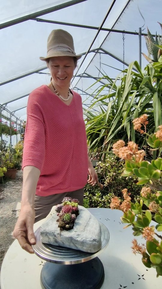 Aus Stein wird grüne Kunst – ein kleiner Garten im Mini-Format entsteht.
➡️➡️ Folge mir für mehr Sukkulenten -Content
#bepflanzterstein
#pflanzenkunst
#naturdeko
#diygarten
#grüneliebe