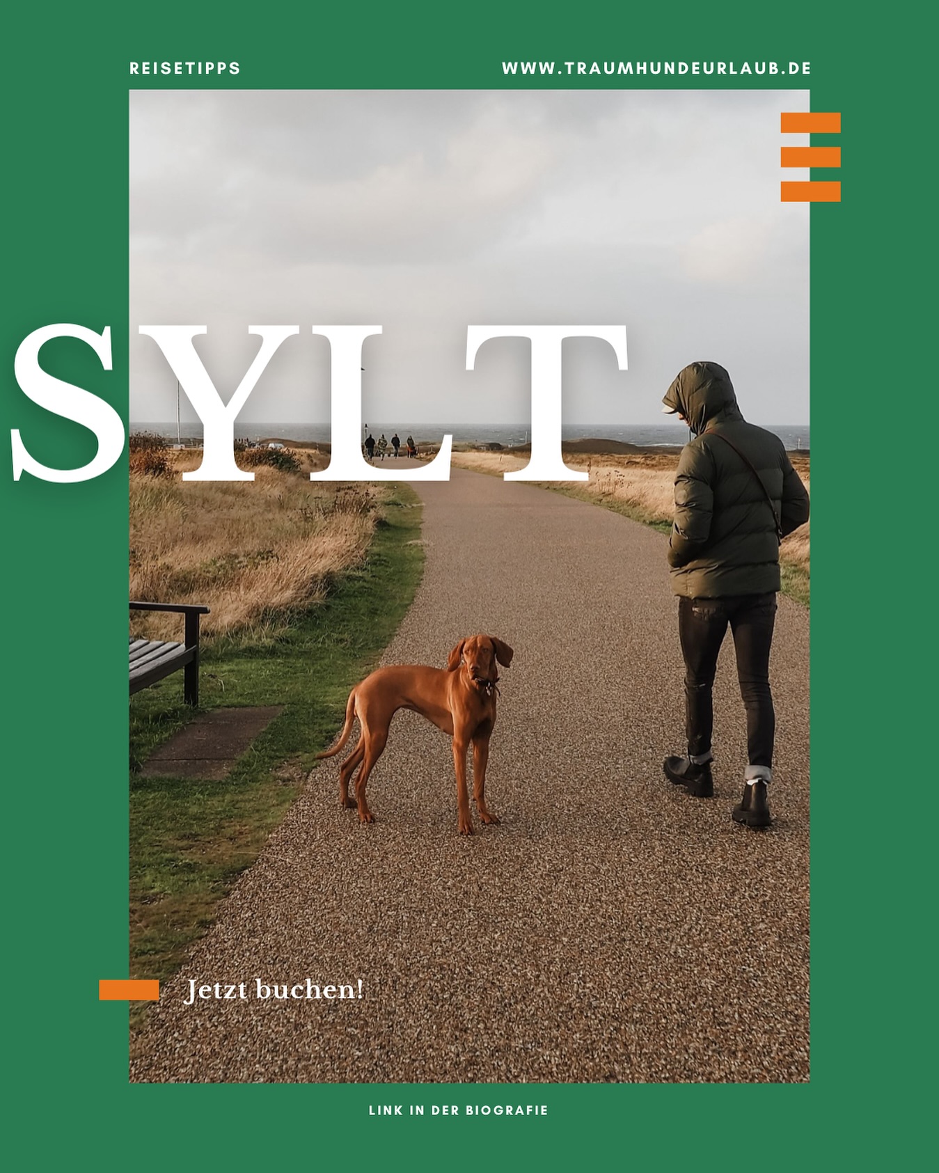 🐾🌊 Pfoten im Sand, Wind in den Ohren – und dein Hund mittendrin!
Sylt ist nicht nur was für Austernfans & Strandkörbe – sondern auch ein echtes Paradies für Vierbeiner. 🐶❤️
In meinem neuen Blogpost zeige ich dir, warum Sylt mit Hund mehr ist als nur Meer.
👉 Hundefreundliche Strände, Geheimtipps & was du auf keinen Fall verpassen darfst!
Wir bieten aktuell über 1000 Unterkünfte mit Hunderlaubnis auf der Insel! 💯
🐕🦺☀️ Link in Bio! #hundeurlaub #syltmithund #nordseeliebe #reisenmithund #meerpfoten #traumhundeurlaub #traumhundeurlaubde