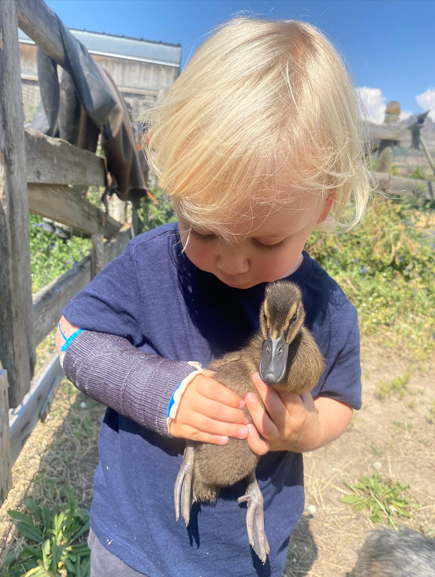 Toddlers + farms = total joy embodied. What a pleasure it is to be able to bring our small human to work and see that joy unfold. We hope that same joy comes through in the care we put into the products we grow. Here’s a few shots of our summer days…❤️🚜👩🏻🌾