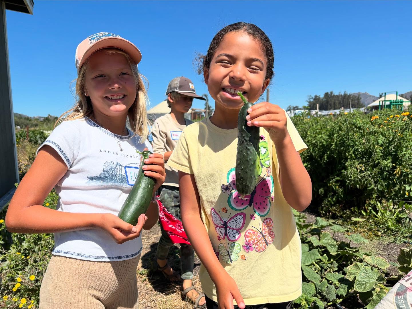 These Junior Farmers are having a blast at Farm Camp! ๐งโ๐พ๐ฉโ๐พ
In the first two days of camp, we learned about and explored soil types, started seeds, learned to feed and care for our sheep and chickens, adventured in Prefumo Creek, prepared farm snacks and lunches from our harvests, and played LOTS of farm games!
We love the energy and curiosity that each of our Junior Farmers are bringing!
#juniorfarmers #farmcamp #regenerative #futurefarmers