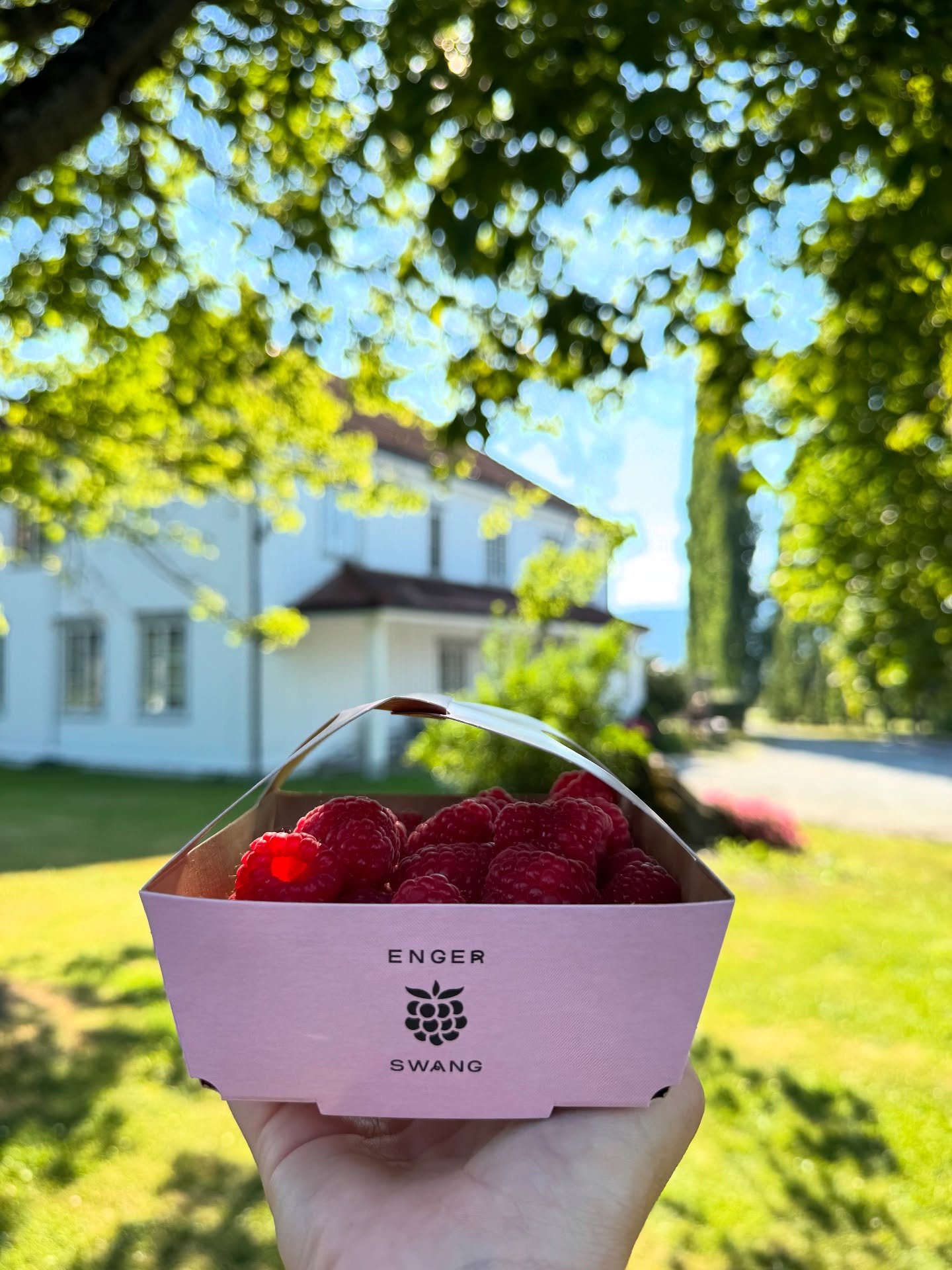 Friske bær i sesong🤤
Ring 917 96 096 for bestilling av bærkasser, eventuelt kom innom vår selvbetjente bu for bringebær.