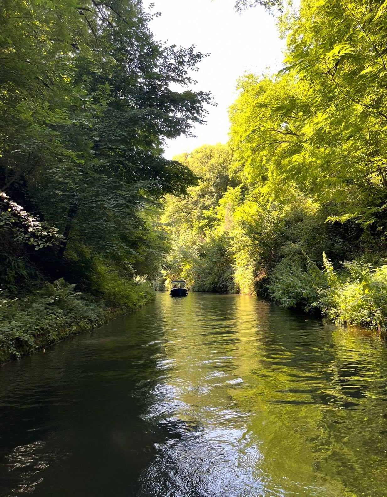 🚤 Explorez les Voûtes de La Collancelle avec Aqua Fluvial ! 🌿
Plongez dans l’histoire du canal du Nivernais en toute tranquillité grâce à Aqua Fluvial !
👉 Embarquez pour une croisière commentée d’1h15 à 1h30 et laissez-vous guider à travers les magnifiques voûtes de La Collancelle, un site unique mêlant nature et patrimoine.
🚤 Vous préférez voguer à votre rythme ? Louez un bateau électrique sans permis et devenez capitaine le temps d’une balade inoubliable. Accessible à tous, c’est l’activité idéale en couple, en famille ou entre amis !
📍 Départ : Port des Pougeats à Baye, Bazolles
📅 Réservation obligatoire – sensations garanties !