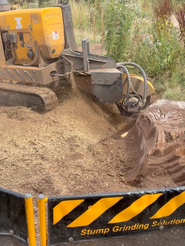 Grinding out a large Eucalyptus stump, measuring approximately 4ft x 5ft diameter across the buttresses this week. Our Predator P50RX grinded the stump out no problem.
This stump had been causing an issue for a local builder and was too big to be dug out with a digger. Disposing of the stump as a whole is extremely costly as well as many recycling firms unwilling to recycle tree stumps now.
Our stump grinding service offers an efficient and cost effective method of removing any sized stumps from your property or land.
We offer our stump grinding services to property owners, building contractors, landscapers and tree surgery businesses. If we can be of assistance please feel free to get in contact ππ§π»
Tel: 07974884326
Email: altarbltd@gmail.com
Website: www.altarb.co.uk
#stumpremoval #stumpgrindingservices #buildingcontractors #righttoolforthejob