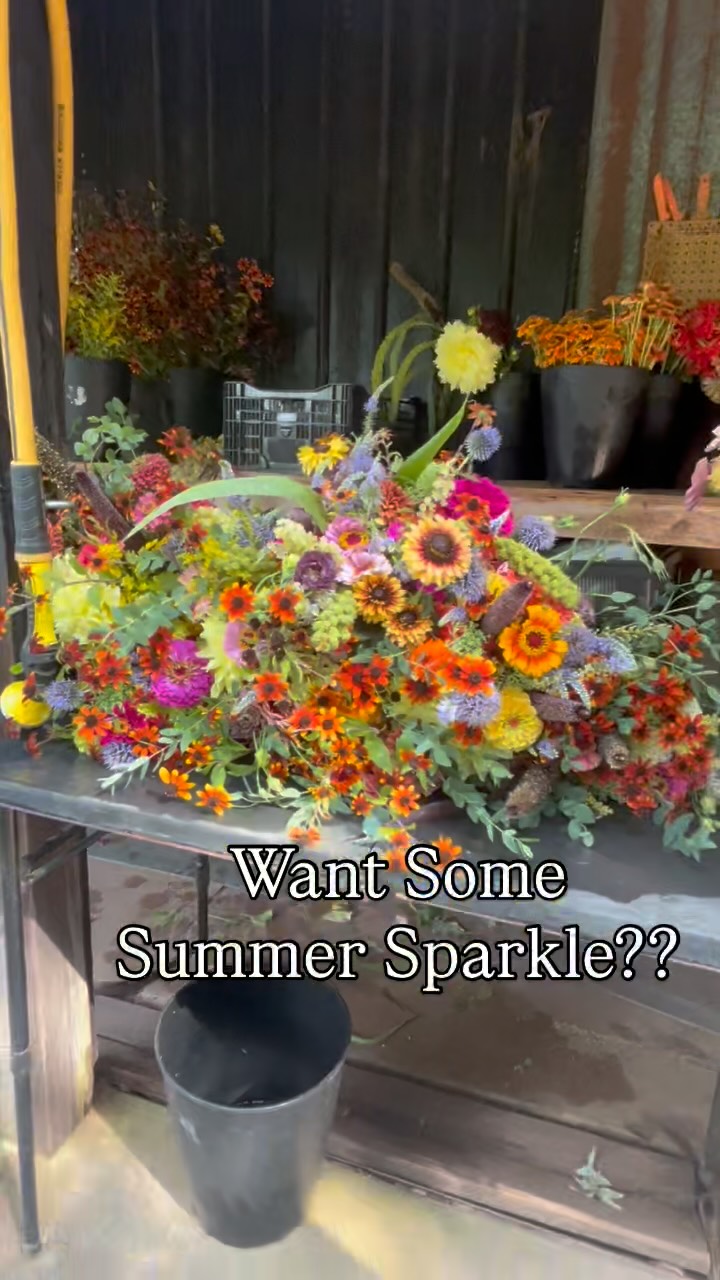 Summer flowers are rolling bright and heavy this week. Check out this week’s bouquets. We’ll have them in both Berryville and Alexandria this Saturday! Come out and enjoy the break in this heat wave! #walkingwindfarmandflorist #clarkevafarmmkt #oldtownalexandriafarmersmarket #berryvilleva #clarkecountyva #oldtownalexandria