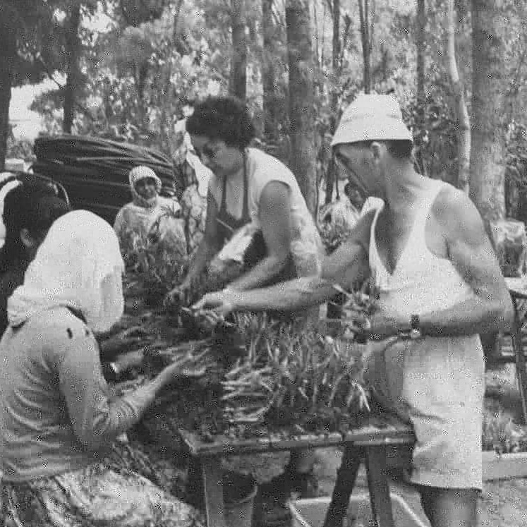 Shoshanna and Moshe Breier- the founders of Breier & son