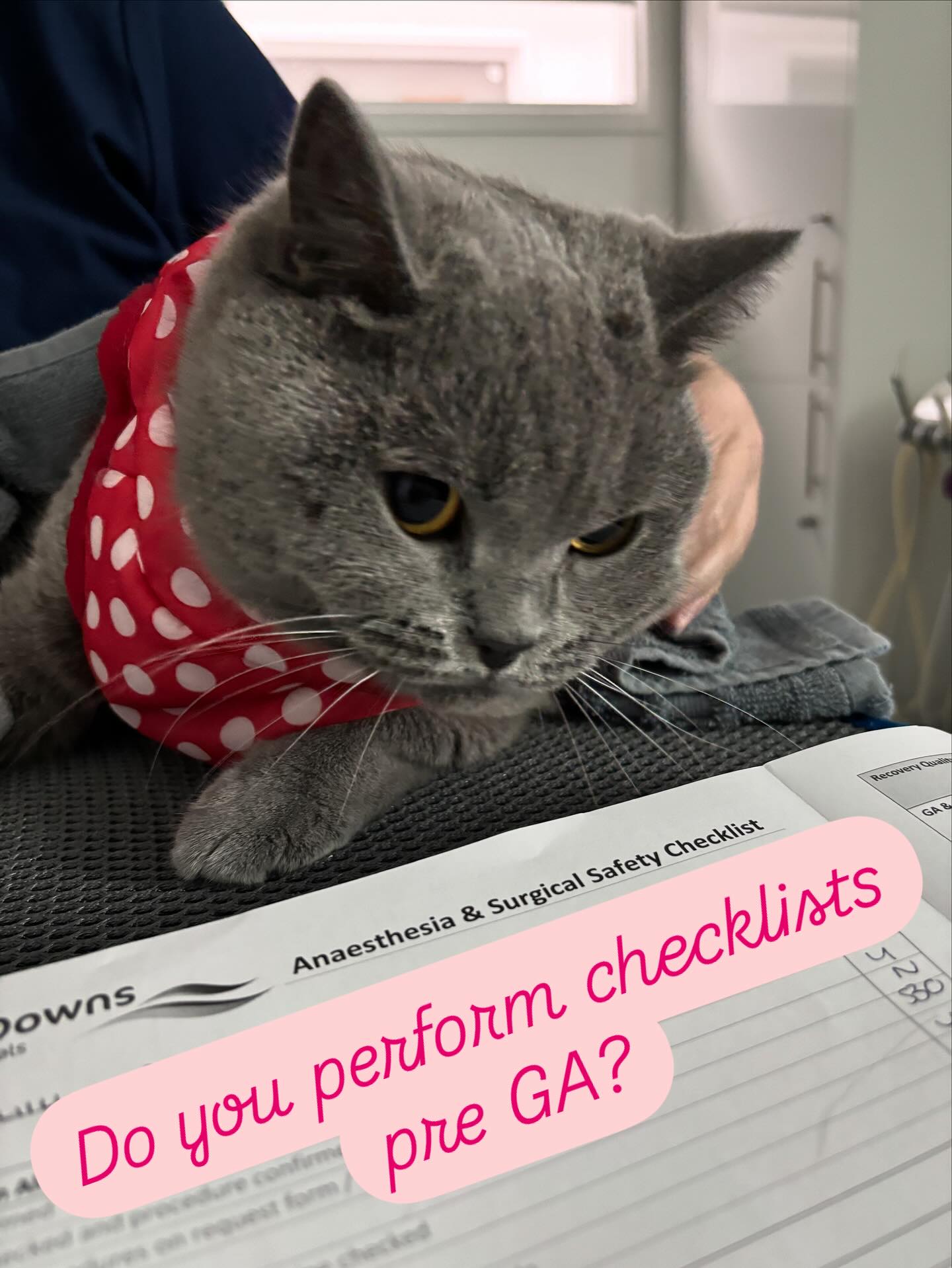 Checklists DO save lives! ⭐️ There are many available out there or you could create one tailored to your practice! Main points could/should include: Patient ID- checked against their name tag. Procedure. When they last ate. Any allergies. Current medication. Breathing circuits check. Drugs counter checked. ASA level assigned and risks discussed. Consent gained from owner…… there are more- but just by these few examples see how many things we are pre emptively thinking about and avoiding any negative outcomes 💪🏻🐈⬛🐶