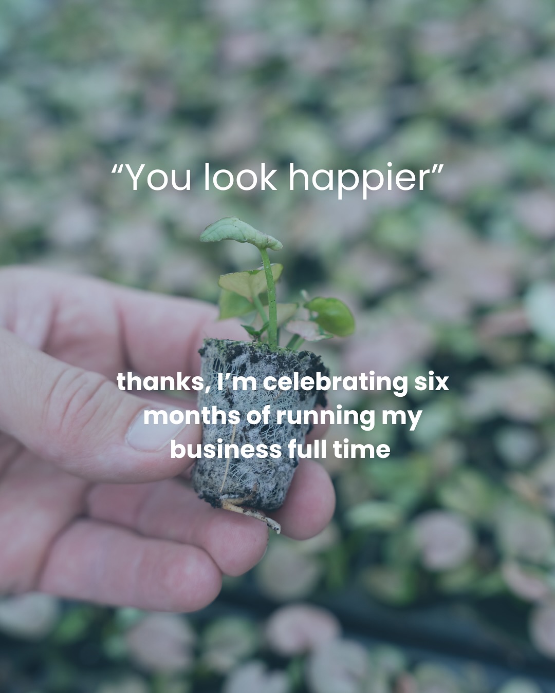 You look happier...and it’s true.
Today (August 6th), I officially hit 6 months of running October Grace Media full-time. Six months of betting on myself, building a business rooted in storytelling, connection, and authenticity, and working alongside the kind of humans that make me proud to do this work.
Nonprofits making real impact.
Small biz owners chasing big dreams.
And photos that feel like you, capturing the heart behind what you do.
I’m so grateful for every person, every small business and every nonprofit who’s invited me into their story. Here’s to the first six months…and everything still ahead.
images shot for @crossroadscafe22846 @leafjoyplants @staunton_clayground @valleycac @buenavistaecondev @hrcdcc
#OctoberGraceMedia #BrandPhotographer #ContentCreation #SmallBusinessSupport #StorytellingPhotography #CreativeEntrepreneur #VirginiaPhotographer #FullTimeCreative #BrandPhotosThatConnect #SixMonthsIn #WomenInBusiness #DoWhatYouLove #PurposeDrivenBusiness #VirginiaBrandPhotographer #HarrisonburgBrandPhotographer #CharlottesvilleBrandPhotographer #NonprofitMarketing