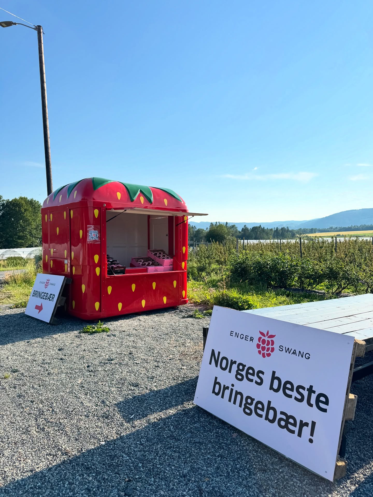 Bringebærbua vår er åpen hver dag fra kl 10-20. Velkommen!