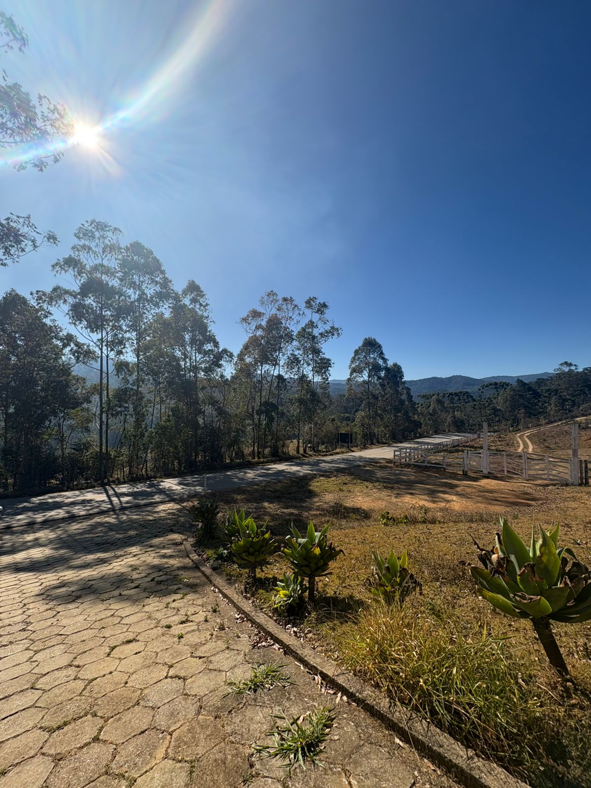 FAZENDA DE 46,18 HA COM PREÇO IMPERDÍVEL E ACESSO FÁCIL.
Fazenda com ótima localização com 2 acessos, pela estrada de terra denominada areia branca, que liga no balanço infinito e pela rodovia asfaltada de Wenceslau Brás. No Bairro da Barreira em Delfim Moreira, divisa com o estado de São Paulo.
Com metragem de 46,1828 Hectare, com várias baixadas planas, e sua área montanhosa não muito íngrime, contendo eucalipto a ponto de corte e com brotos novos. Contendo uma parte de mata nativa, várias nascentes e um rio que corte a fazenda com abundância de água, a fazenda ja possui estradas dentro dela. Com uma vista Maravilhosa da Serra da Mantiqueira.
Com valor abaixo do mercado, excelente oportunidade de compra.
Documentação toda atualizada, com Georeferenciamento registrado.
