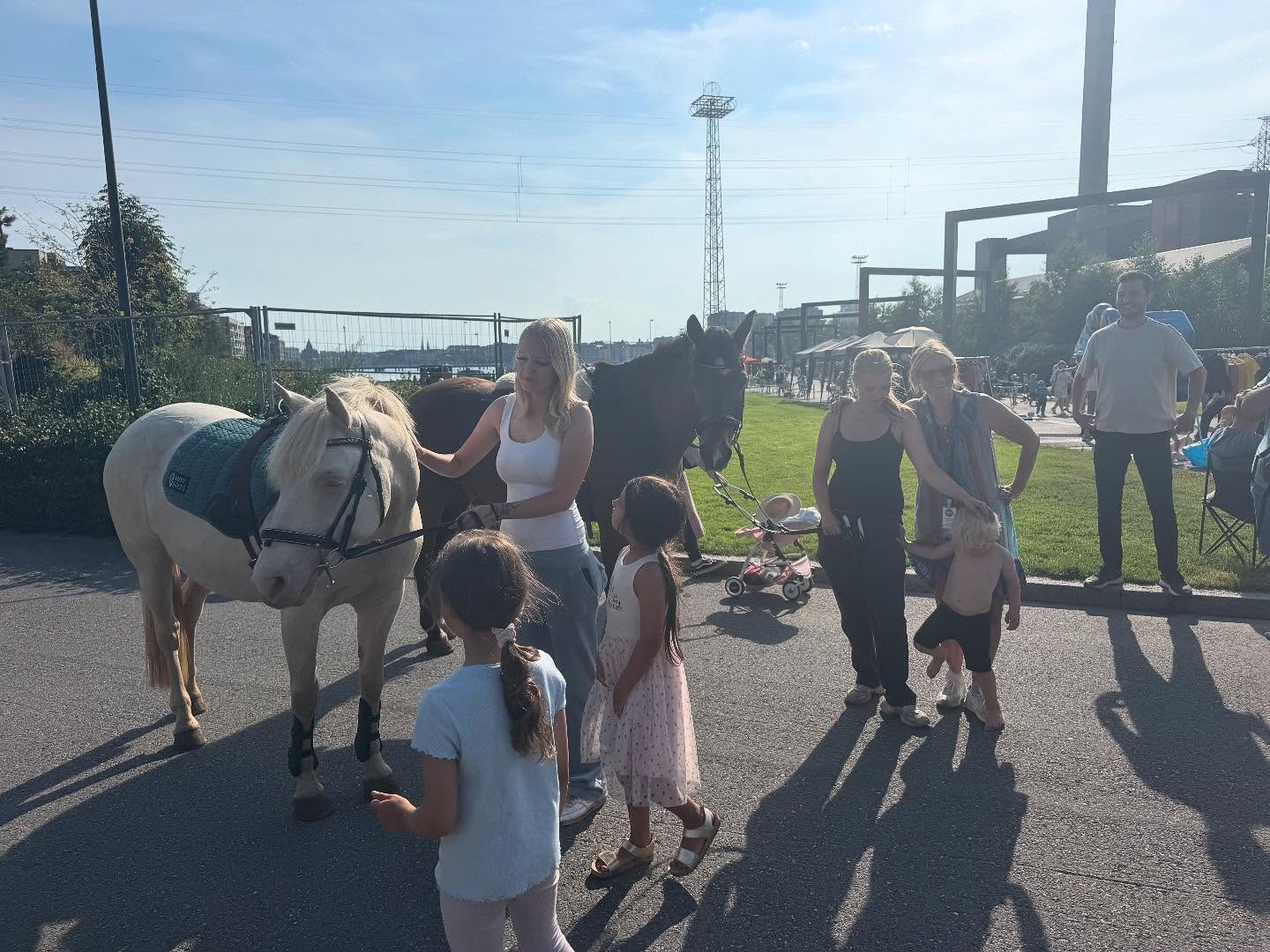 Tipsu ja Kamu oli sunnuntaina Kalasataman asukasjuhlissa ponitalutushommissa keräämässä rahaa Mannerheimin lastensuojeluliitolle. ❤️
Vähän jännitti miten ne pärjää, mutta ne otti tosi chillisti, saivat porkkanaa joka välissä ja lapset oli superonnellisia 😍
