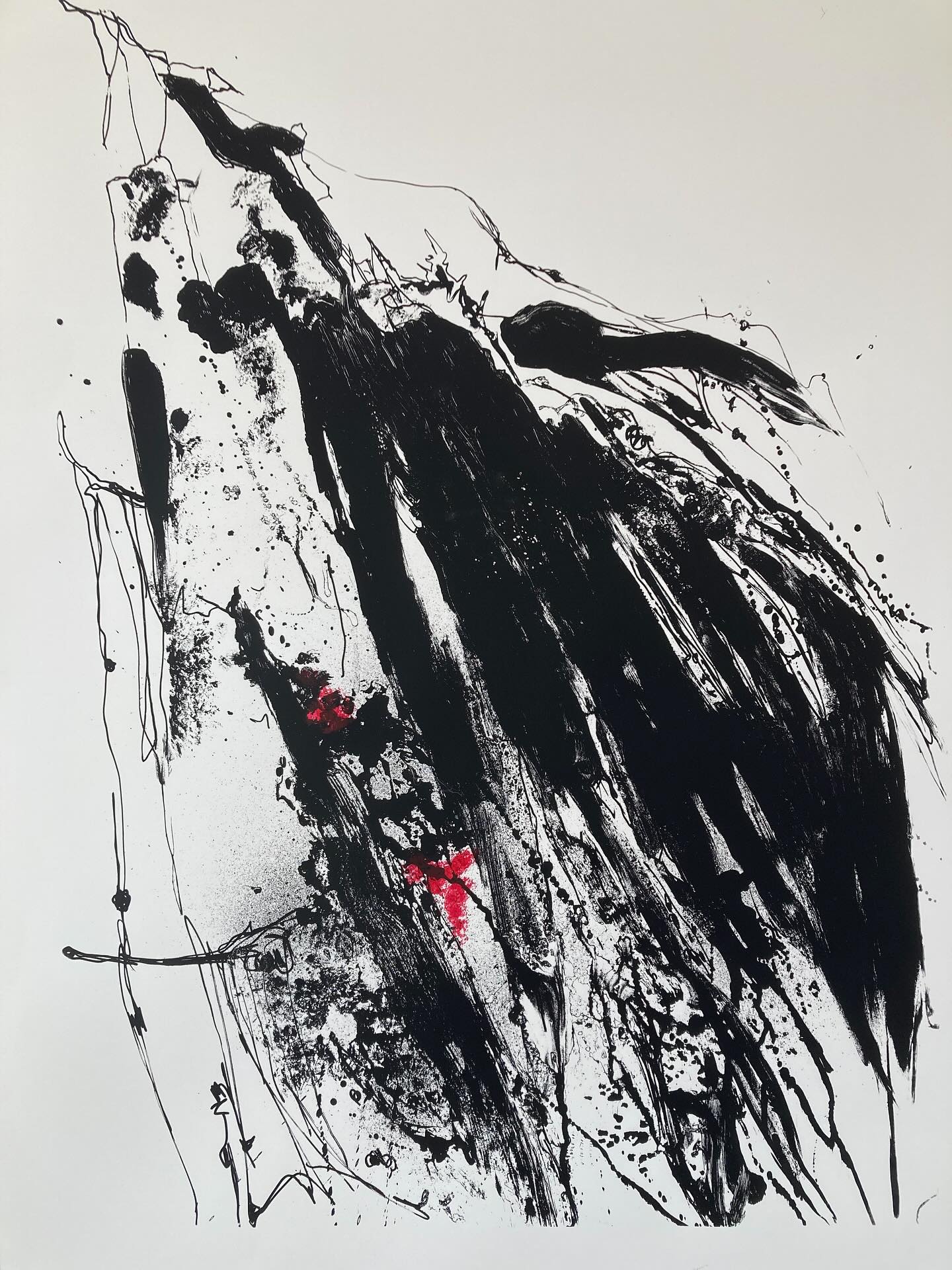 See my work, Le Sang du Glacier in THE DIRECTOR’S CUT, an online exhibition by @woolwichcontemporaryprintfair from 4th-31 August. Featuring many other incredible artists! Don’t miss out..