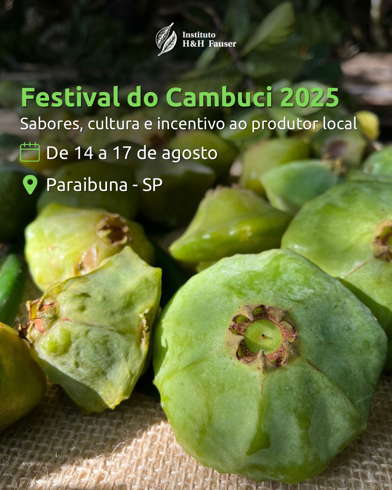 Vem aí o Festival do Cambuci 2025!
De 14 a 17 de agosto, Paraibuna celebra a rica biodiversidade da Mata Atlântica com o XVI Festival do Cambuci, parte da Festa do Folclore e do Festival Gastronômico do João Rural.
Essa é uma super oportunidade para experimentar sabores marcantes, conhecer mais sobre nossas frutas nativas e se conectar com as raízes da nossa terra.
#ihhf #frutrasnativas #cambuci #rotadocambuci #festivaldocambuci #paraibuna #valedoparaíba #ong #educaçãoambiental