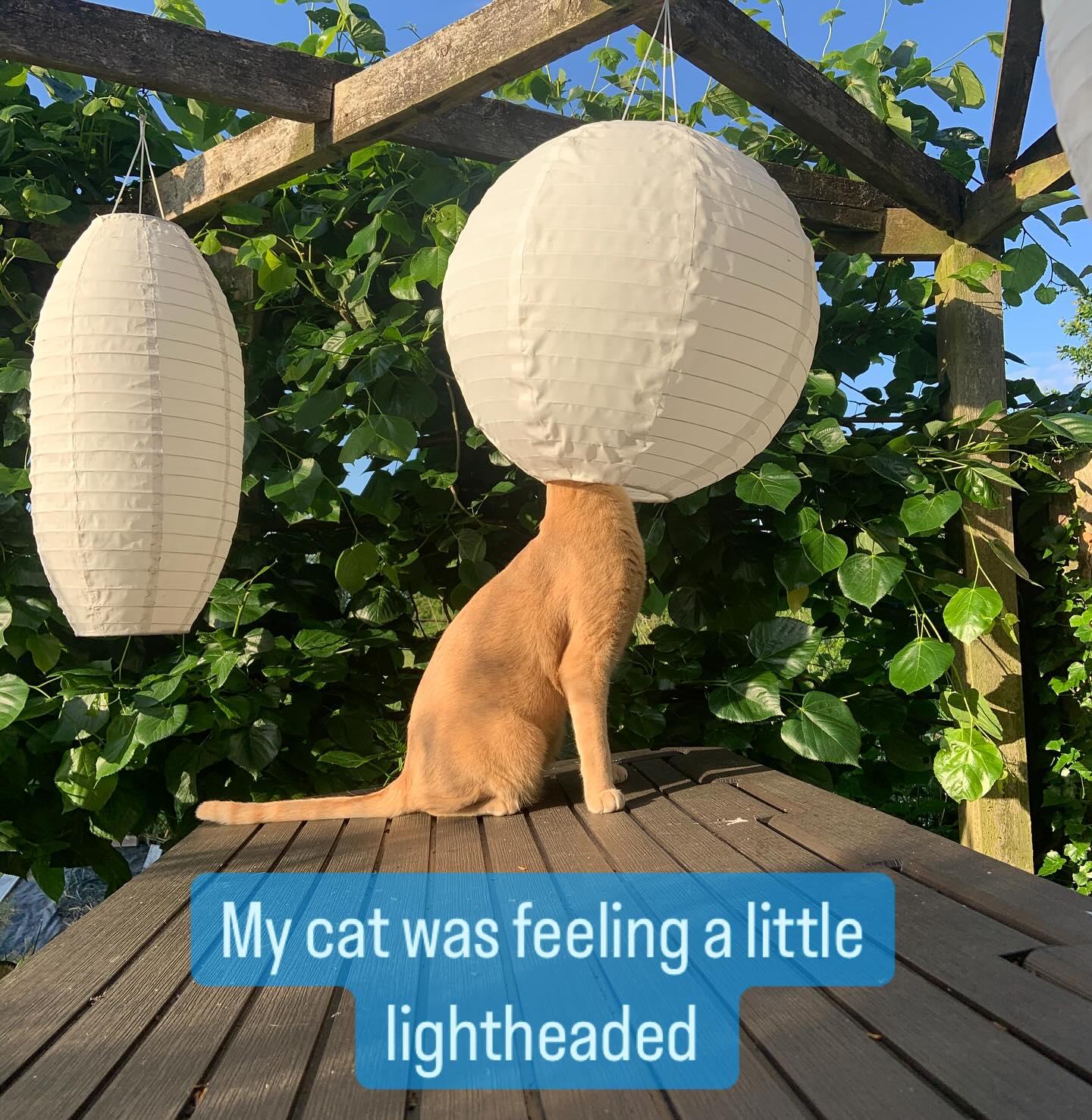 Just leaving this here: