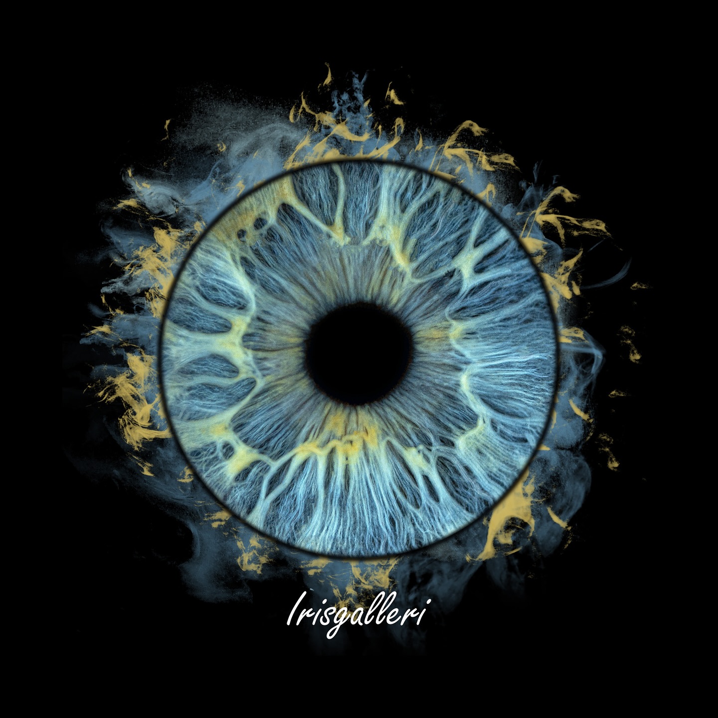 Bookings for September are now OPEN! Book your visit at https://irisgalleri.simplybook.it/v2/
Welcome 🤗
#irisgalleri #eyephotography #irisphotography #macroeye #irisart #eyecloseup #eyemacro #uniqueeyes #eyeartwork #irisportrait #norskfotograf #fotokunst #kunstfoto #oslofotograf #norwayphotography #visitnorway #norgebilder #mittnorge #norwegianart #osloartscene #macrophotography #fineartphotography #irisdetails #eyestagram #oslobusiness #norwegianphotographer #norwayart #artinnorway #creativephotography #irisphoto