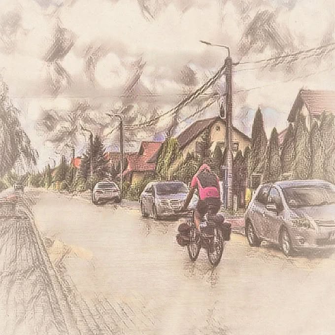 "Reaching Sweden earlier felt right and in my situation, that was something I had to listen to. So I changed my route."
From Chapter 49: Still Just A Rookie