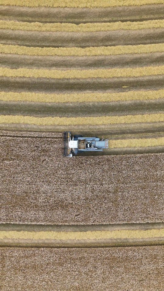 Pian mennään! 🌾 EFIX-automaattiohjaukset leikkuupuimureihin edullisesti heti varastosta, vielä tämän kauden puinneille! ✅️
✅️ Vähentää päällekkäisajoa jopa 10%
✅️ Tasainen kuormitus puintikoneistolle = parempi puintilaatu ja vähemmän puintitappioita
✅️ Keventää kuljettajan työpäivää
#efix #efixag #agronav #automaattiohjaus #täsmäviljely #kasvukausi2025